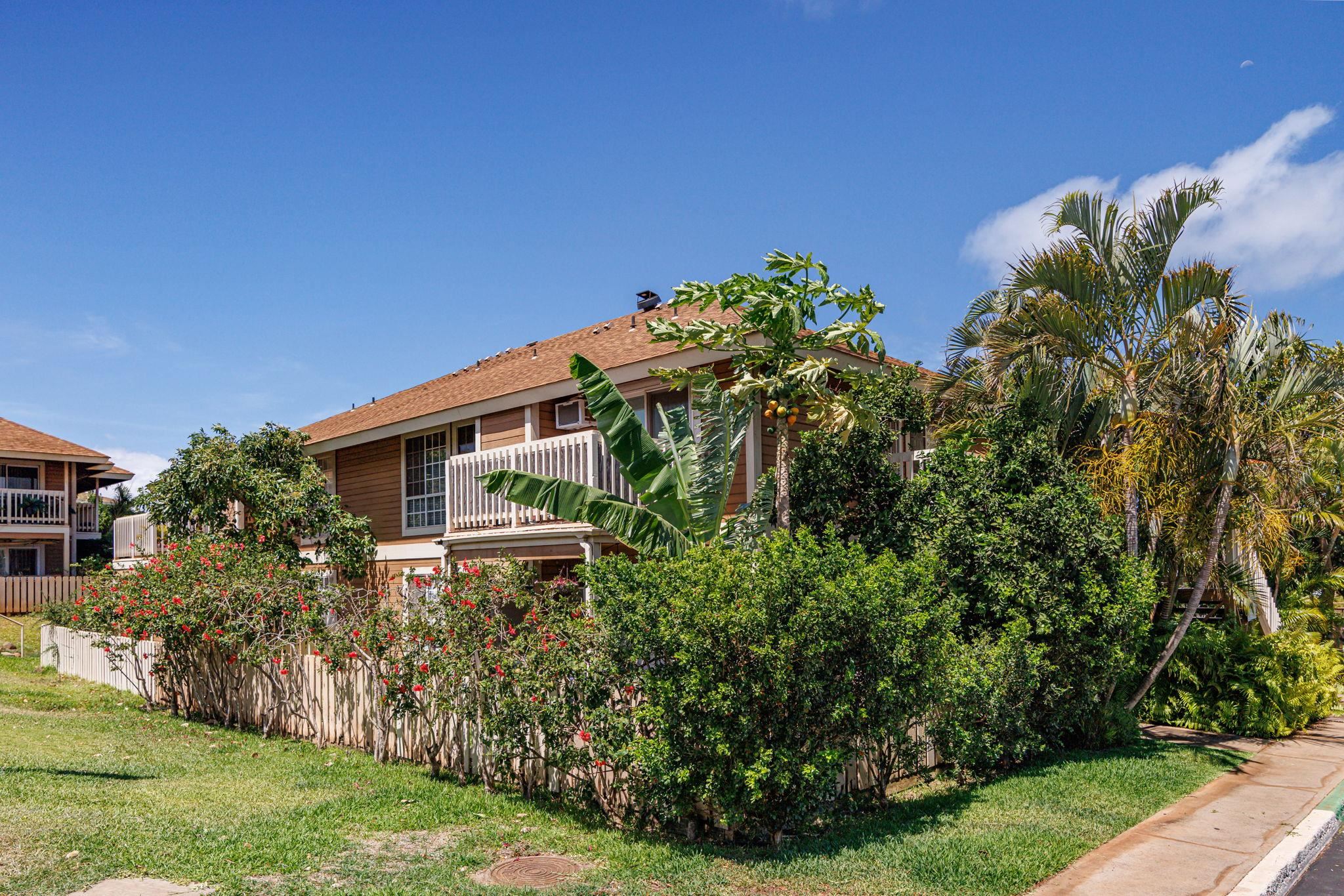 Kihei Villages I condo # 9-103, Kihei, Hawaii - photo 42 of 49