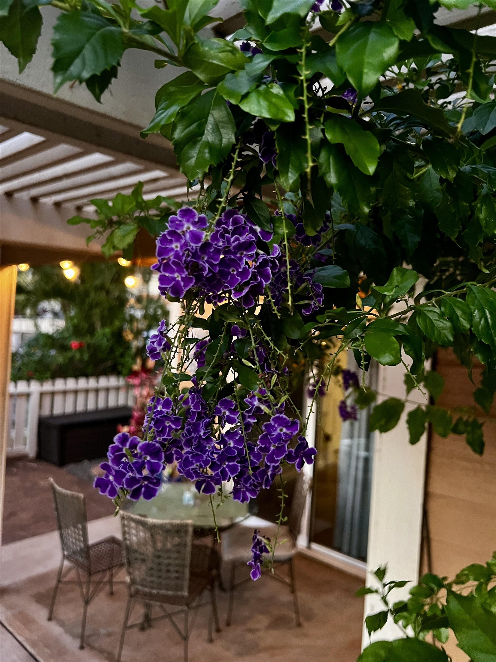 Kihei Villages I condo # 9-103, Kihei, Hawaii - photo 48 of 49