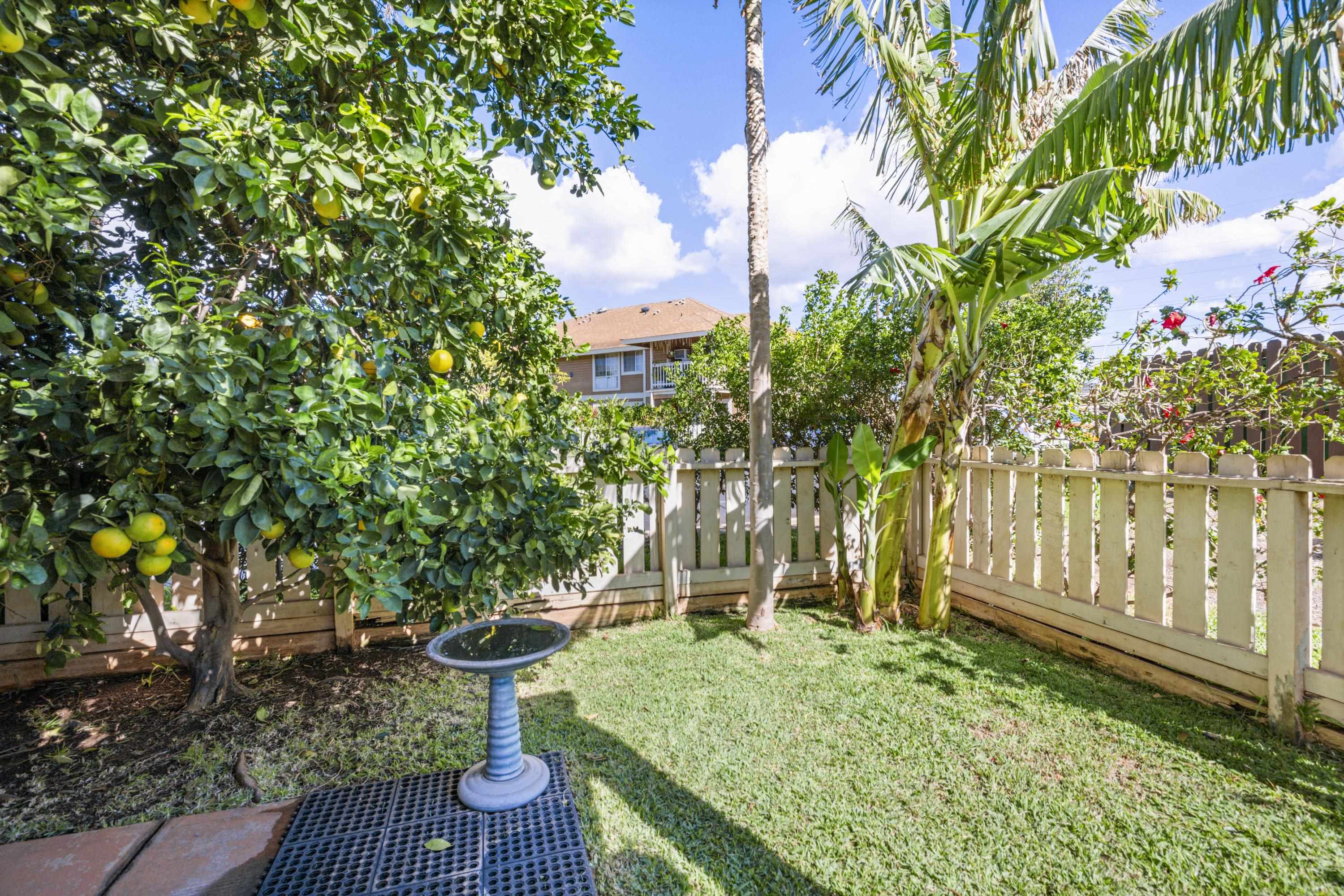 Kihei Villages I condo # 9-104, Kihei, Hawaii - photo 3 of 30