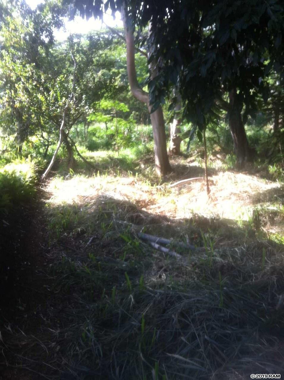 1400 malaihi Rd  Wailuku, Hi vacant land for sale - photo 7 of 10