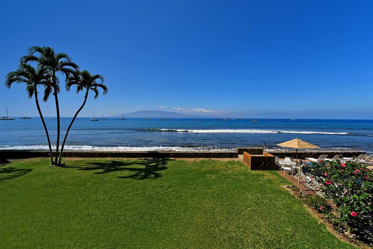 Lahaina Roads condo # 204, Lahaina, Hawaii - photo 2 of 30