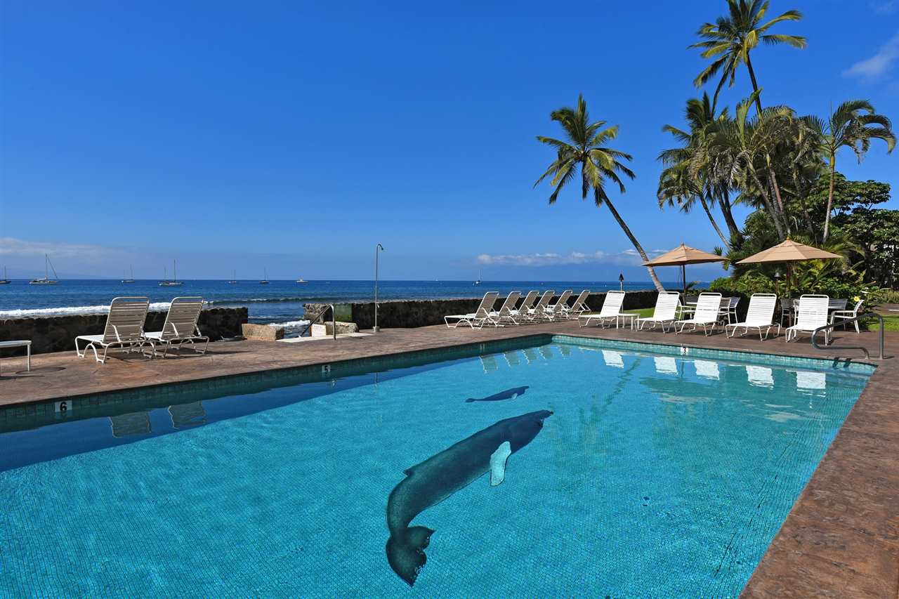 Lahaina Roads condo # 204, Lahaina, Hawaii - photo 24 of 30