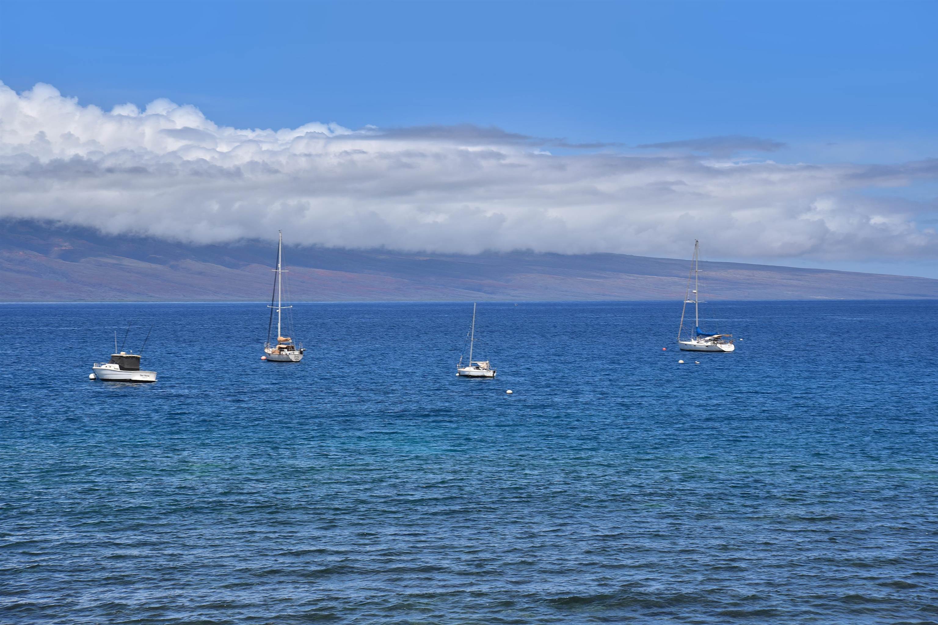 Lahaina Roads condo # 307, Lahaina, Hawaii - photo 14 of 20