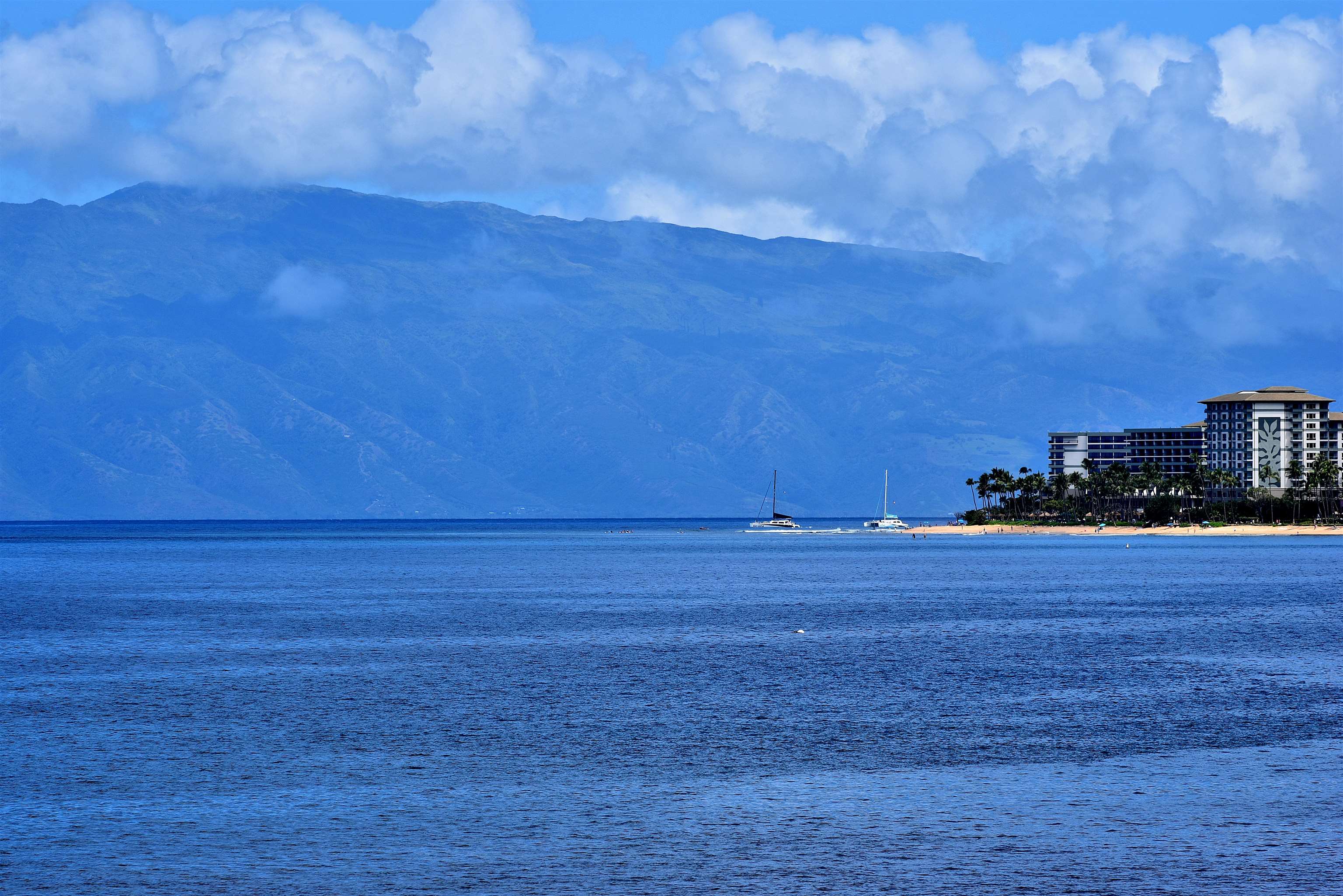 Lahaina Roads condo # 308, Lahaina, Hawaii - photo 4 of 35