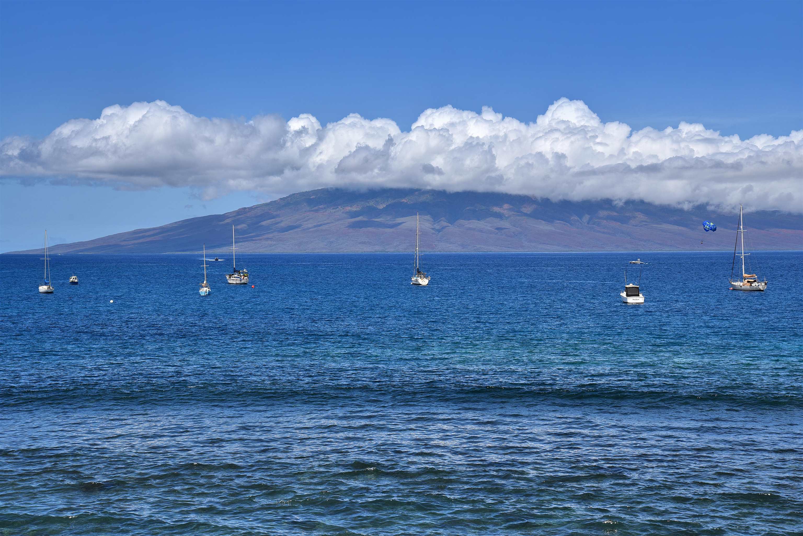 Lahaina Roads condo # 308, Lahaina, Hawaii - photo 35 of 35
