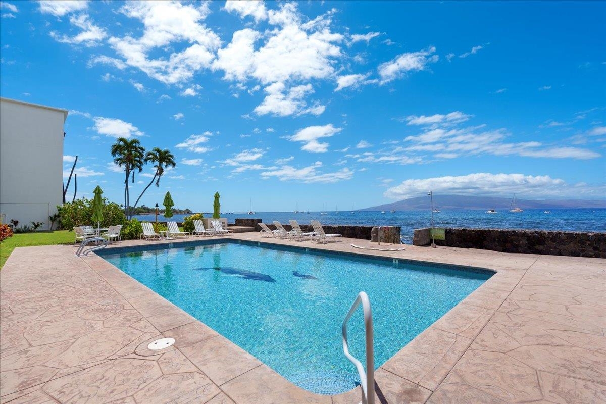 Lahaina Roads condo # 309, Lahaina, Hawaii - photo 24 of 33