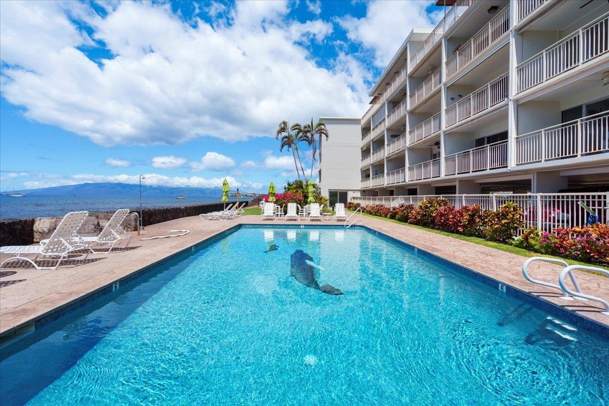 Lahaina Roads condo # 309, Lahaina, Hawaii - photo 25 of 33