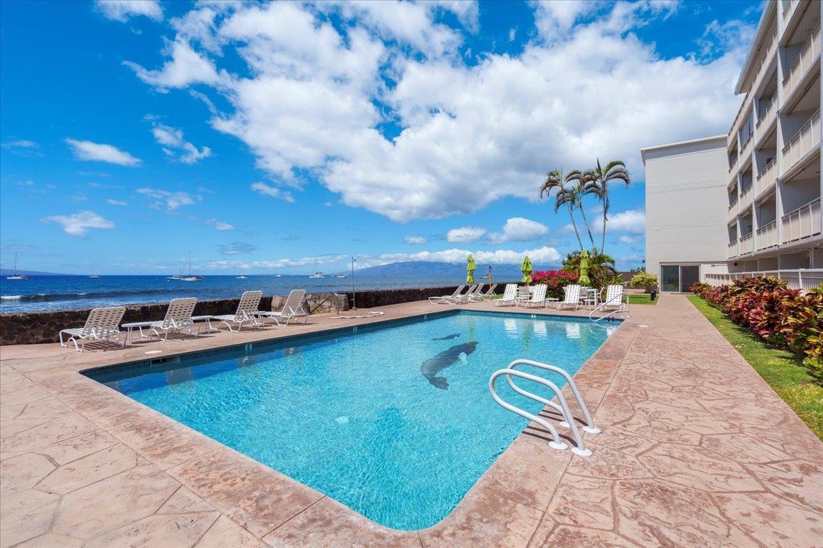 Lahaina Roads condo # 309, Lahaina, Hawaii - photo 27 of 33