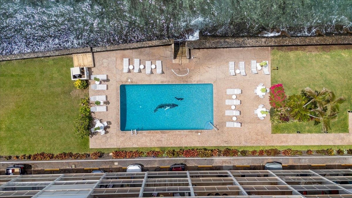 Lahaina Roads condo # 309, Lahaina, Hawaii - photo 28 of 33