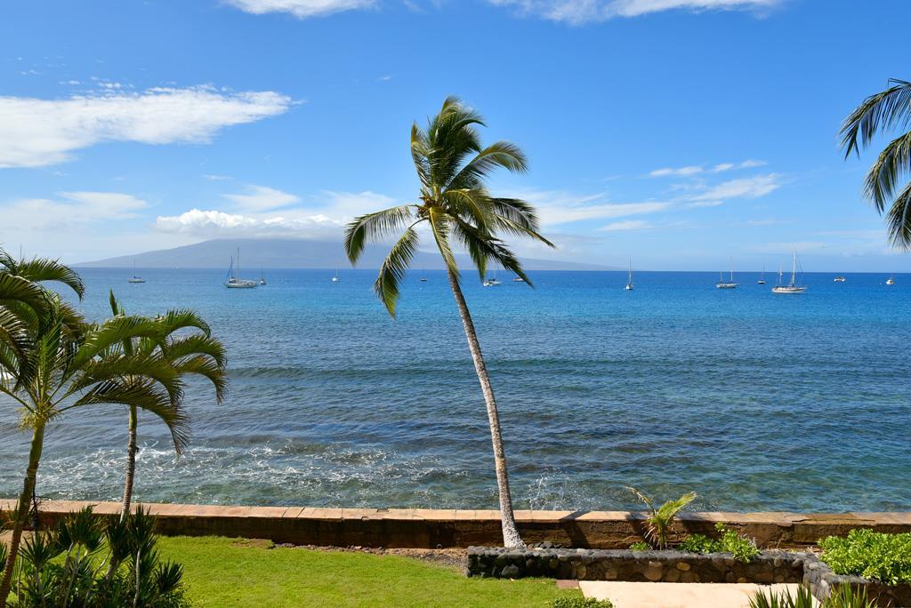 Lahaina Roads condo # 312, Lahaina, Hawaii - photo 11 of 14