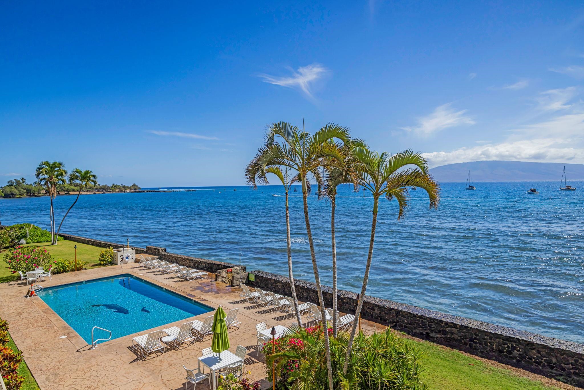 Lahaina Roads condo # 312, Lahaina, Hawaii - photo 21 of 49