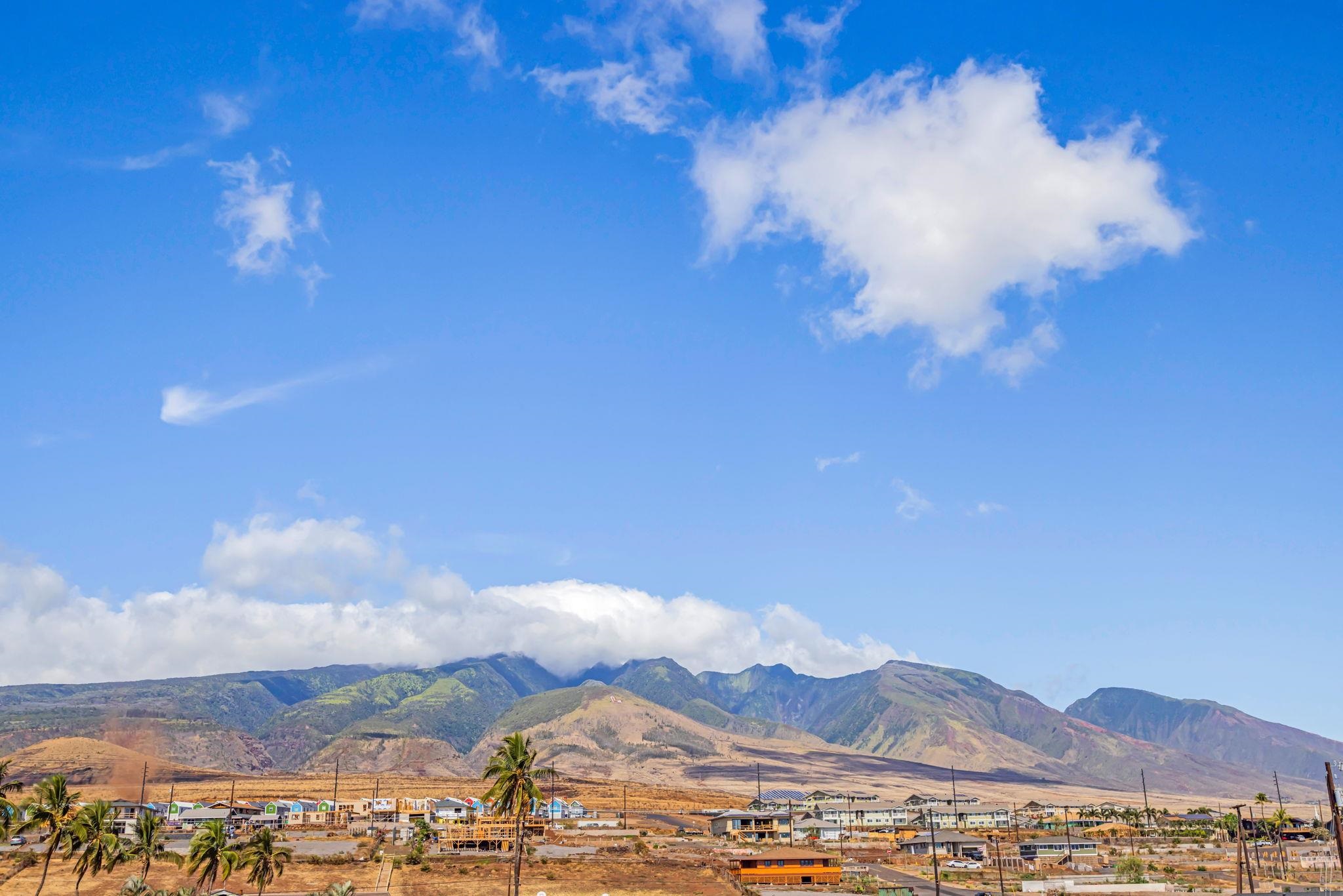 Lahaina Roads condo # 312, Lahaina, Hawaii - photo 34 of 49