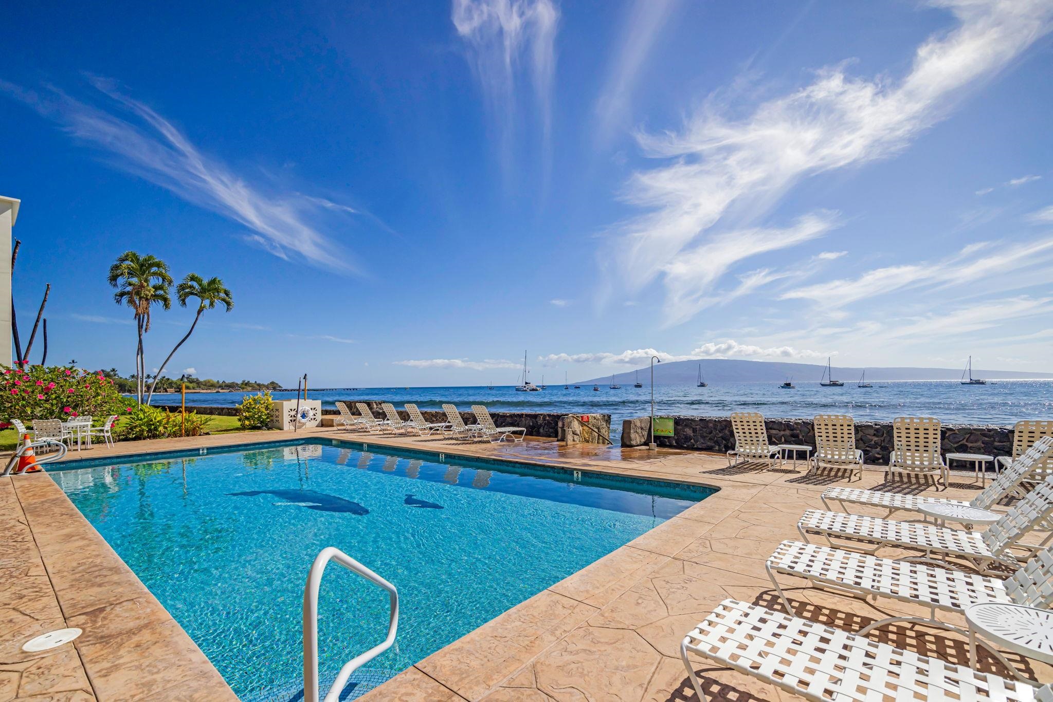 Lahaina Roads condo # 312, Lahaina, Hawaii - photo 35 of 49