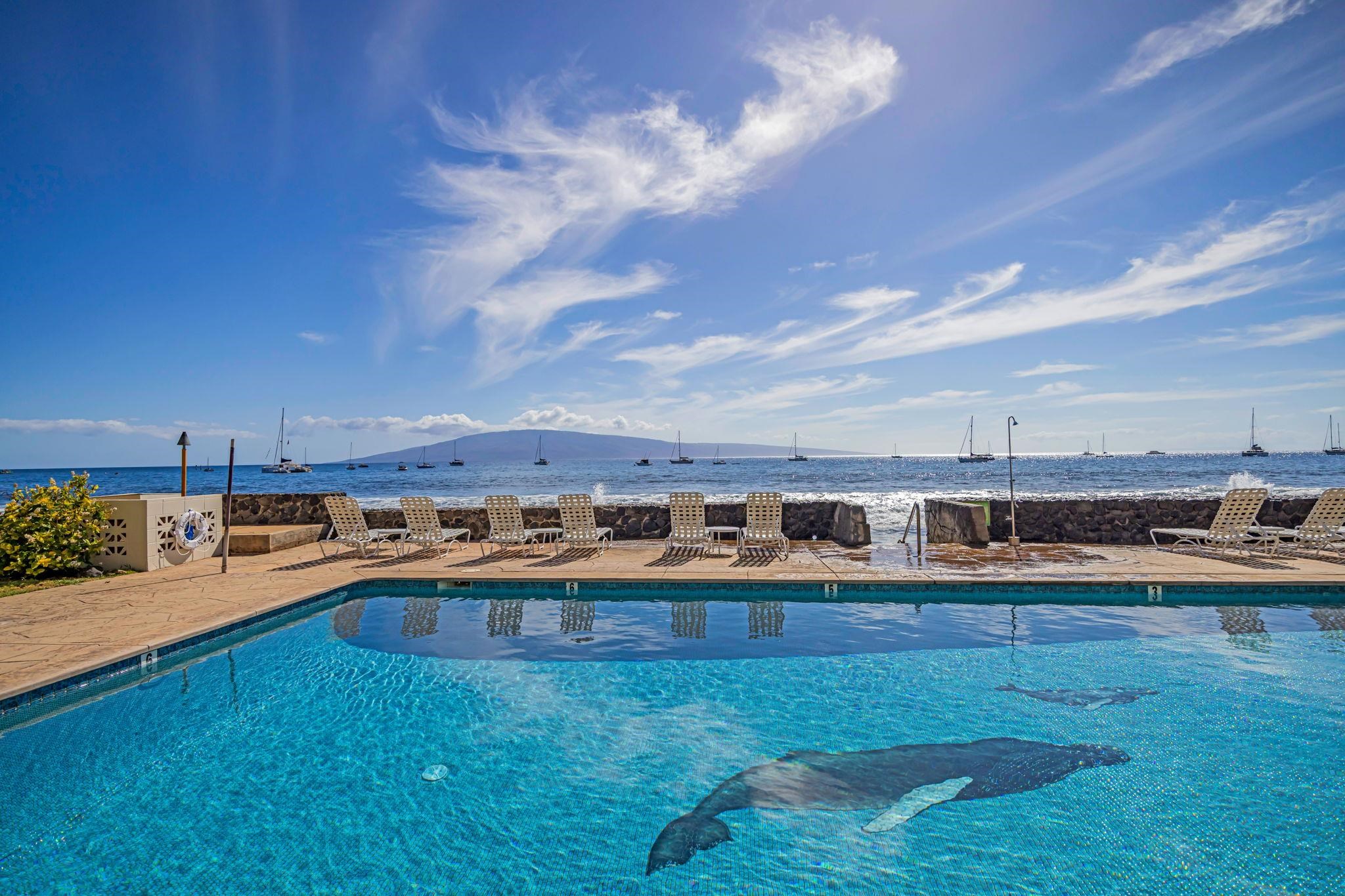 Lahaina Roads condo # 312, Lahaina, Hawaii - photo 36 of 49