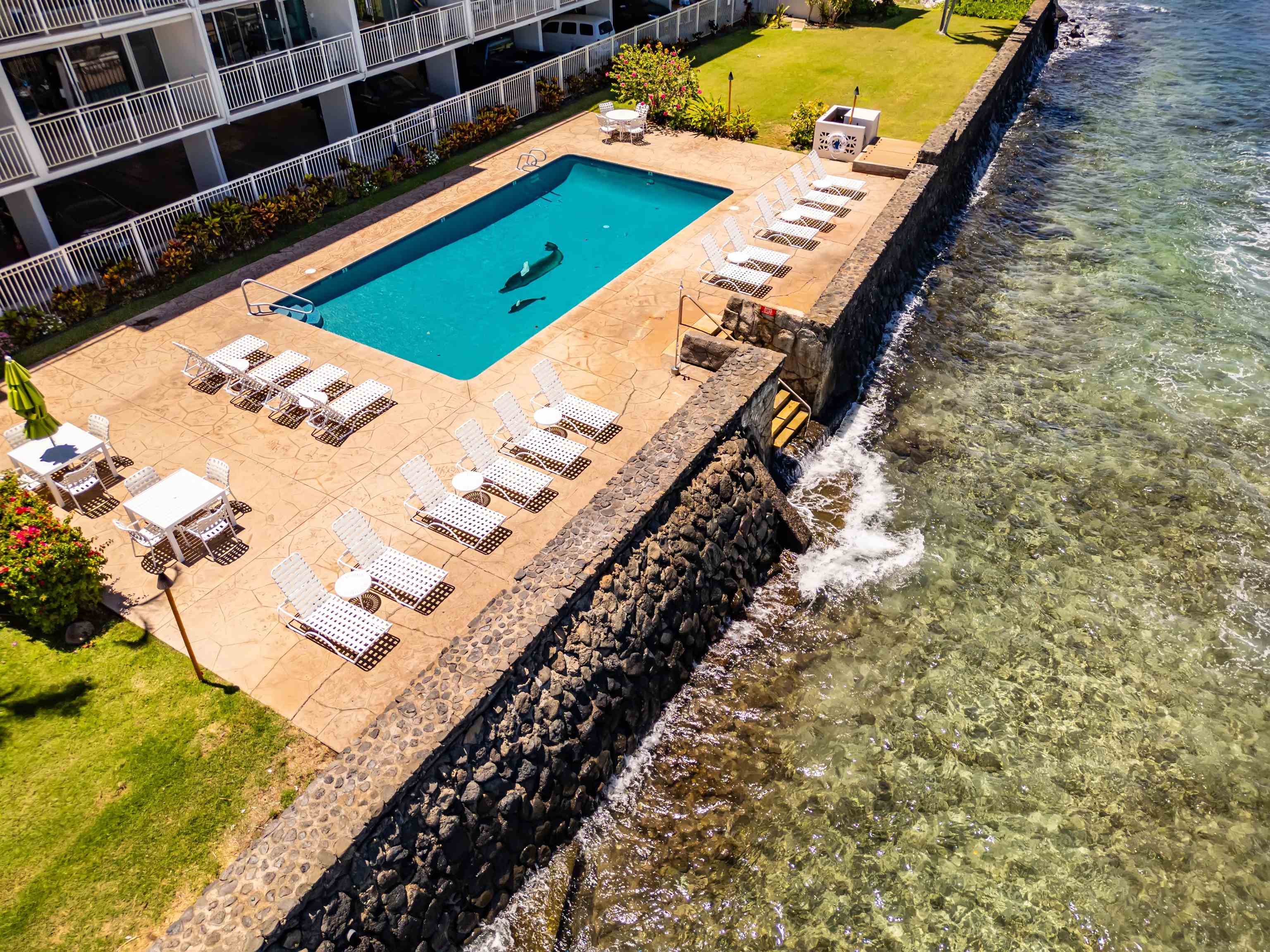 Lahaina Roads condo # 408, Lahaina, Hawaii - photo 25 of 28