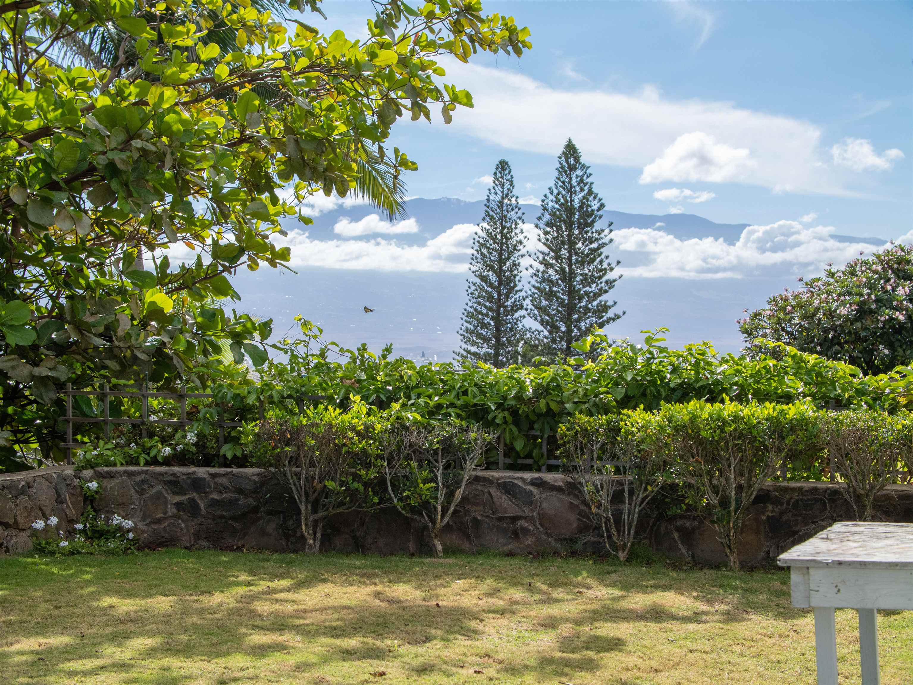1406  Kakae Pl Ocean View Estates, Wailuku home - photo 22 of 38