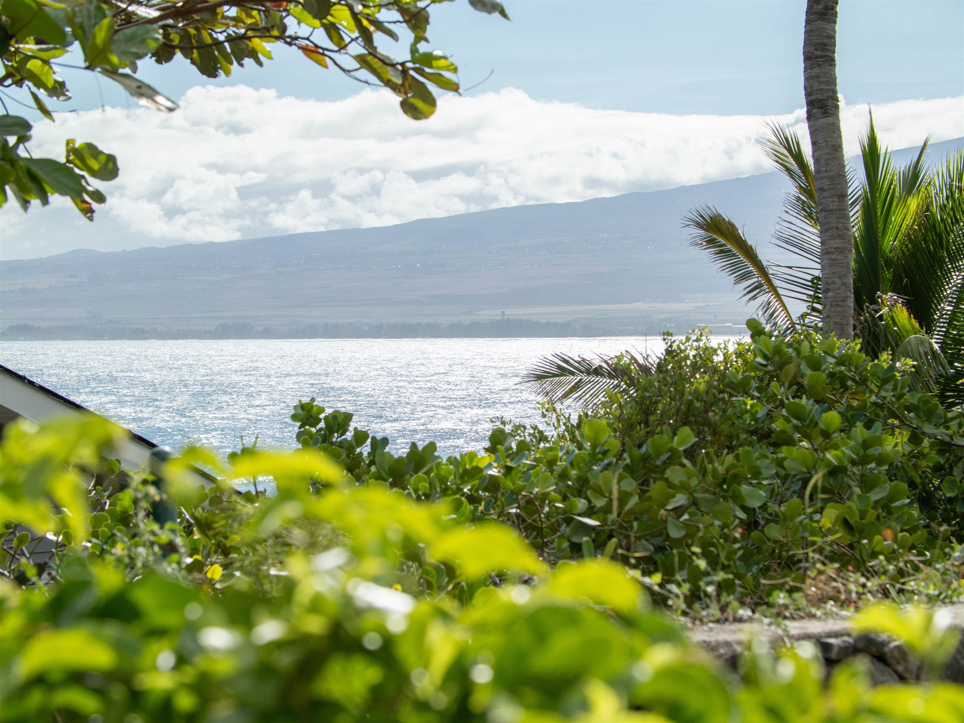 1406  Kakae Pl Ocean View Estates, Wailuku home - photo 23 of 38