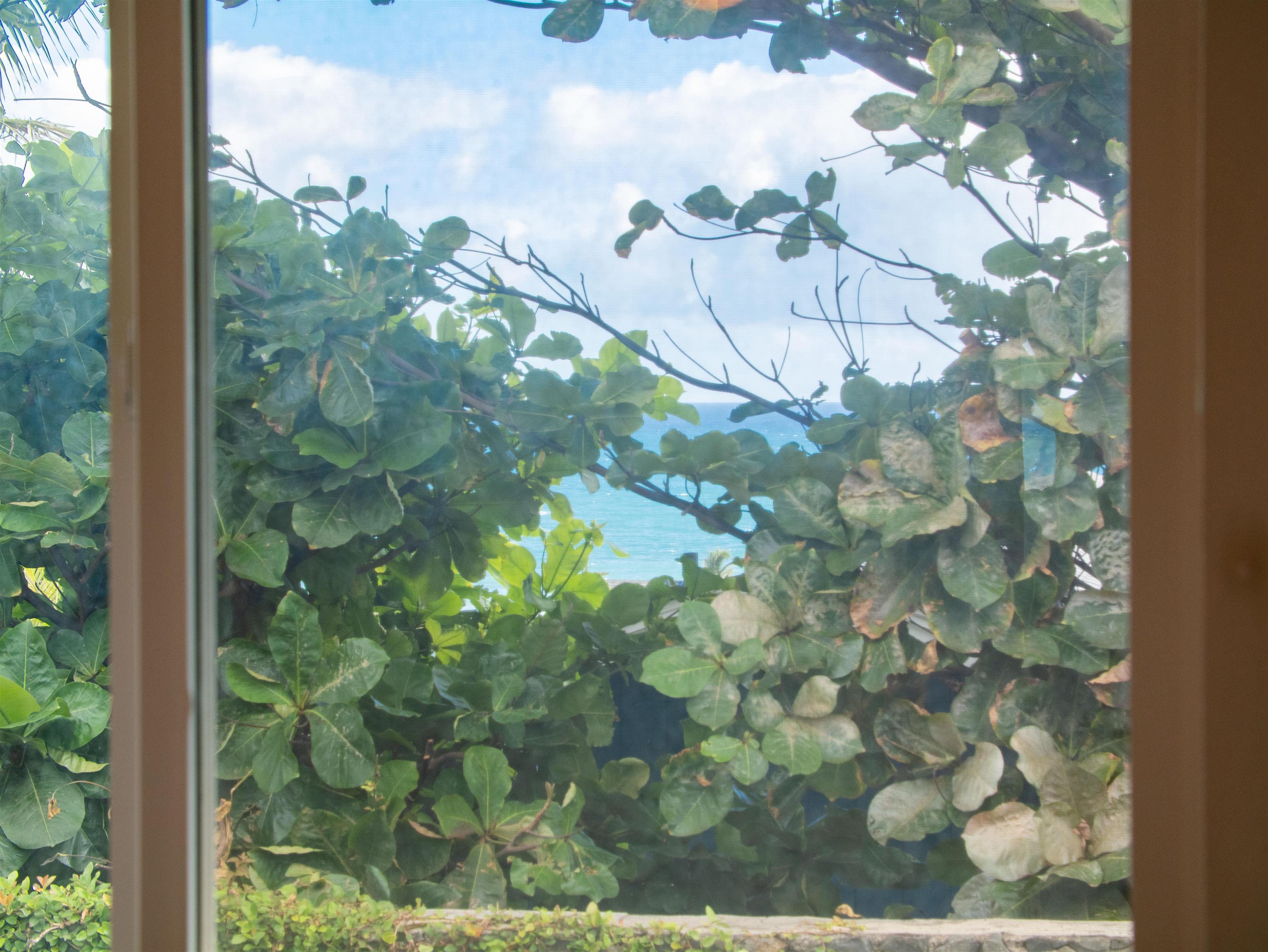 1406  Kakae Pl Ocean View Estates, Wailuku home - photo 30 of 38