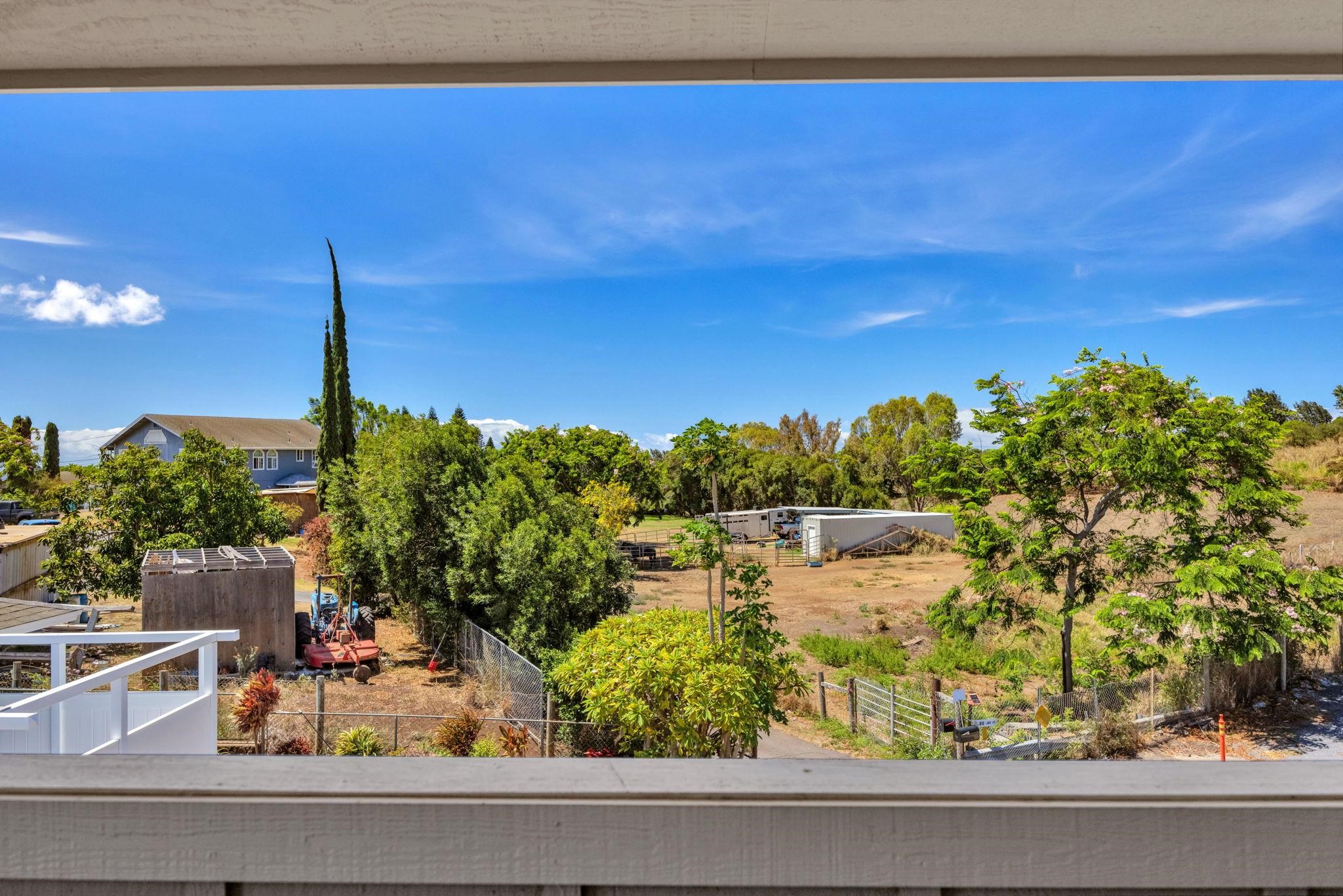 141  Noho Pl Pukalani, Pukalani home - photo 5 of 35