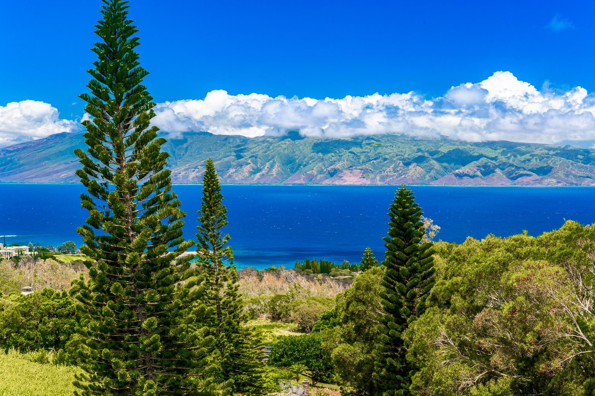 142 Keoawa Pl 25 Lahaina, Hi vacant land for sale - photo 2 of 24