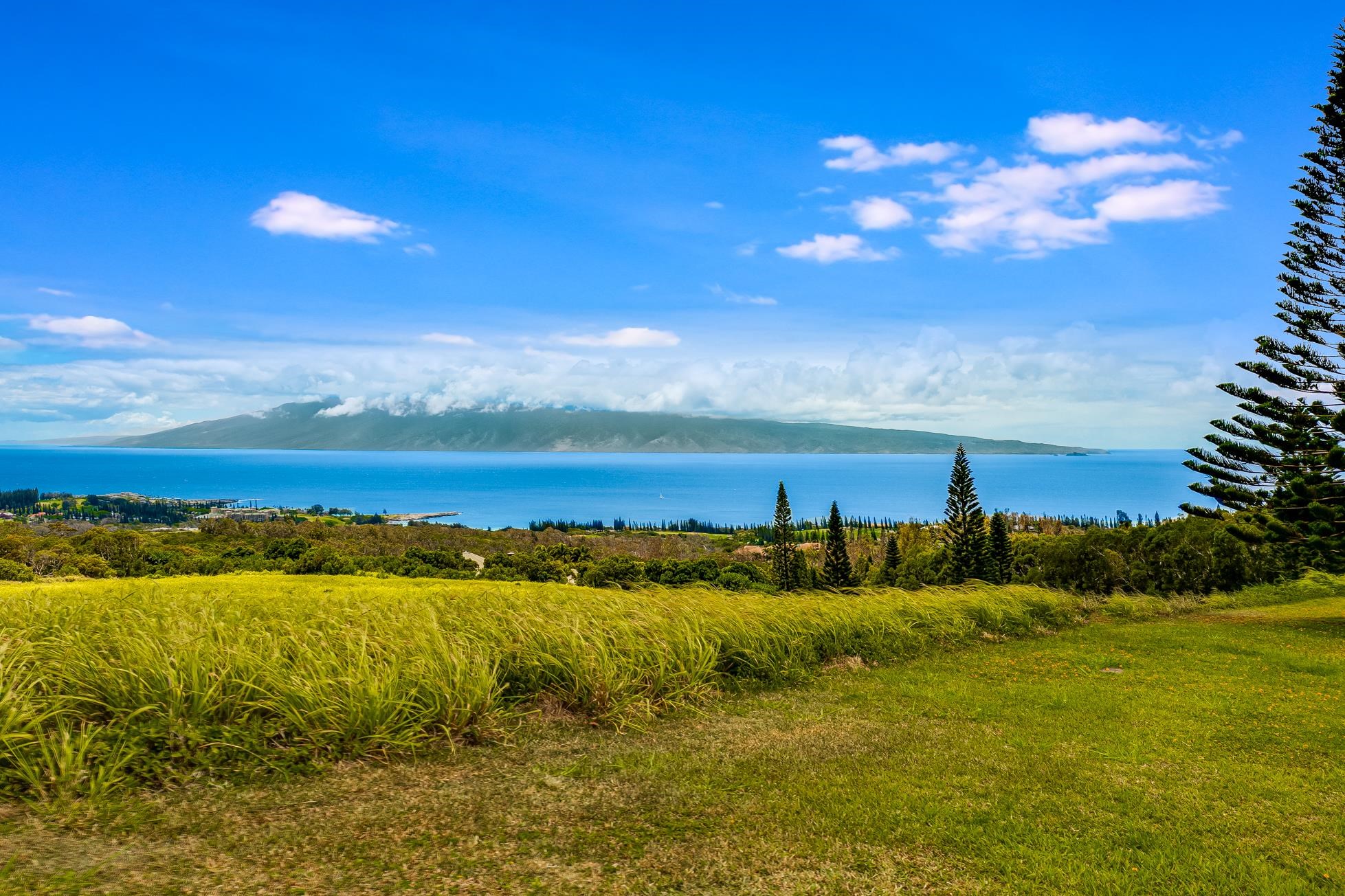 142 Keoawa Pl 25 Lahaina, Hi vacant land for sale - photo 11 of 24