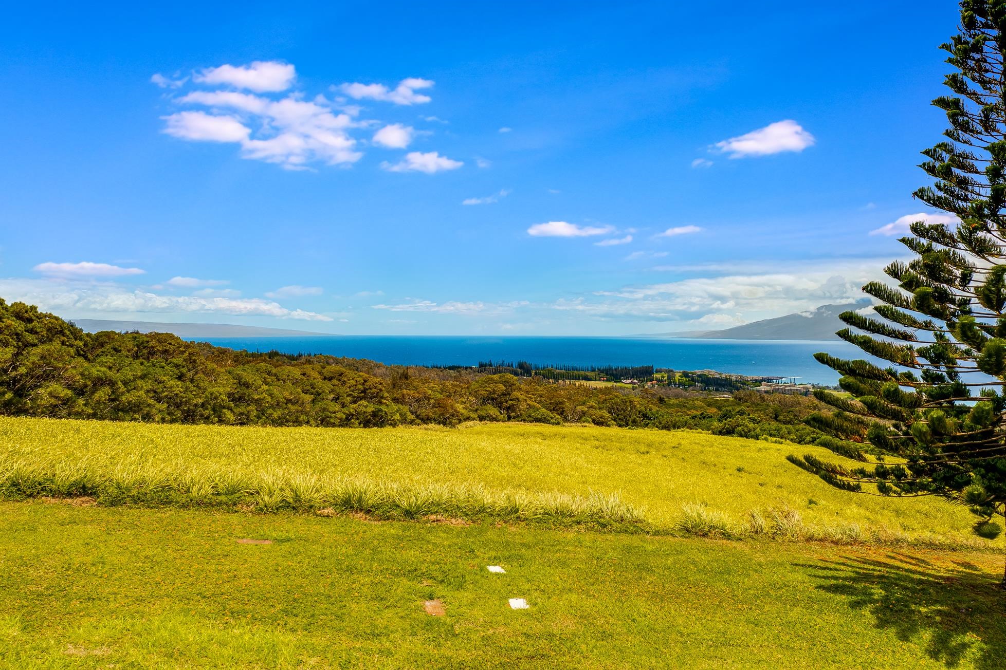 142 Keoawa Pl 25 Lahaina, Hi vacant land for sale - photo 12 of 24