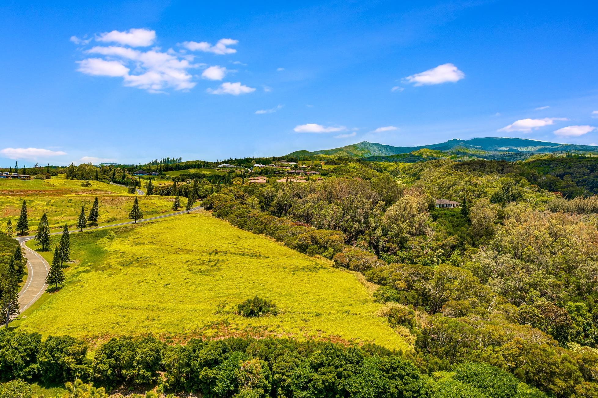 142 Keoawa Pl 25 Lahaina, Hi vacant land for sale - photo 15 of 24