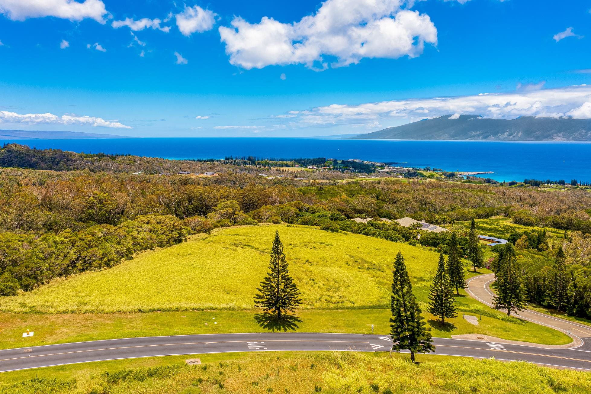 142 Keoawa Pl 25 Lahaina, Hi vacant land for sale - photo 16 of 24