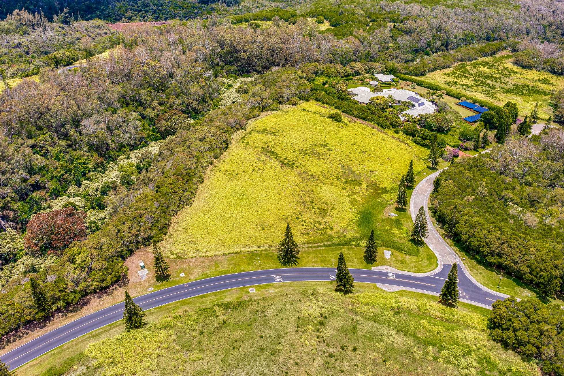 142 Keoawa Pl 25 Lahaina, Hi vacant land for sale - photo 17 of 24