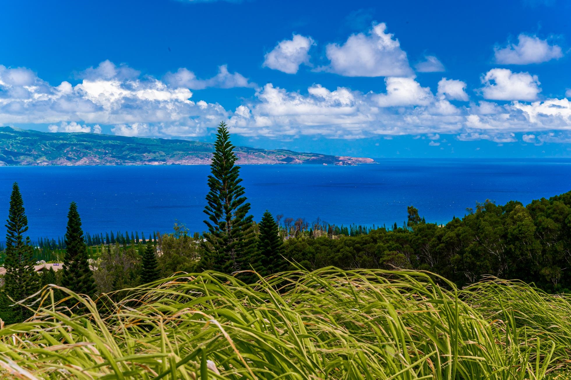 142 Keoawa Pl 25 Lahaina, Hi vacant land for sale - photo 23 of 24