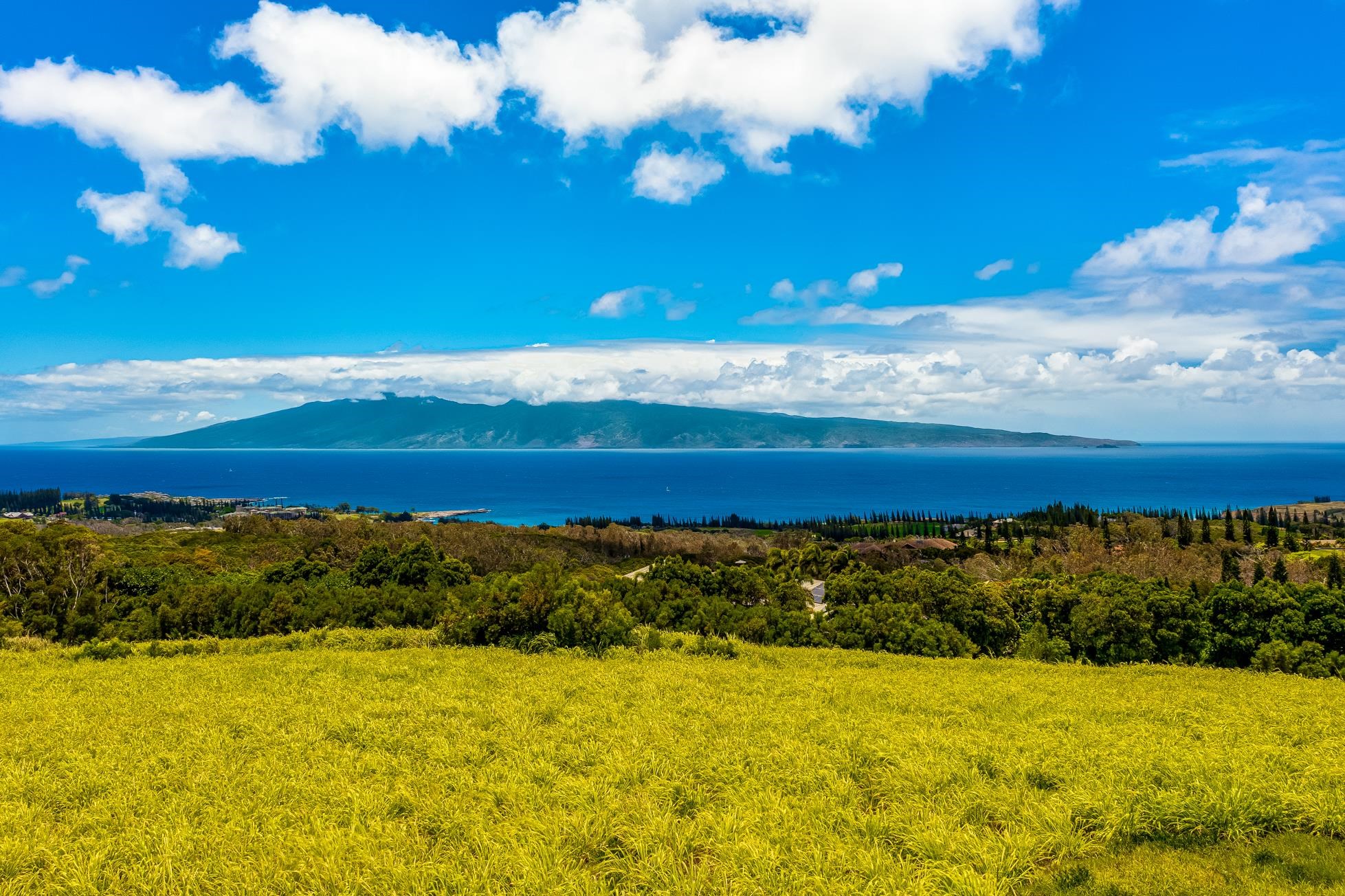 142 Keoawa Pl 25 Lahaina, Hi vacant land for sale - photo 5 of 24