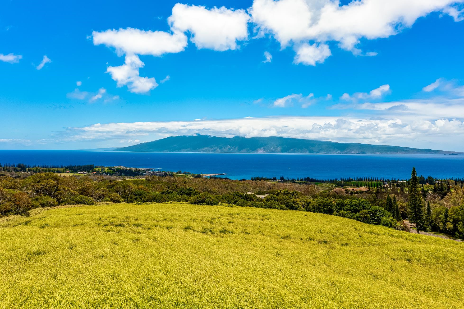 142 Keoawa Pl 25 Lahaina, Hi vacant land for sale - photo 6 of 24