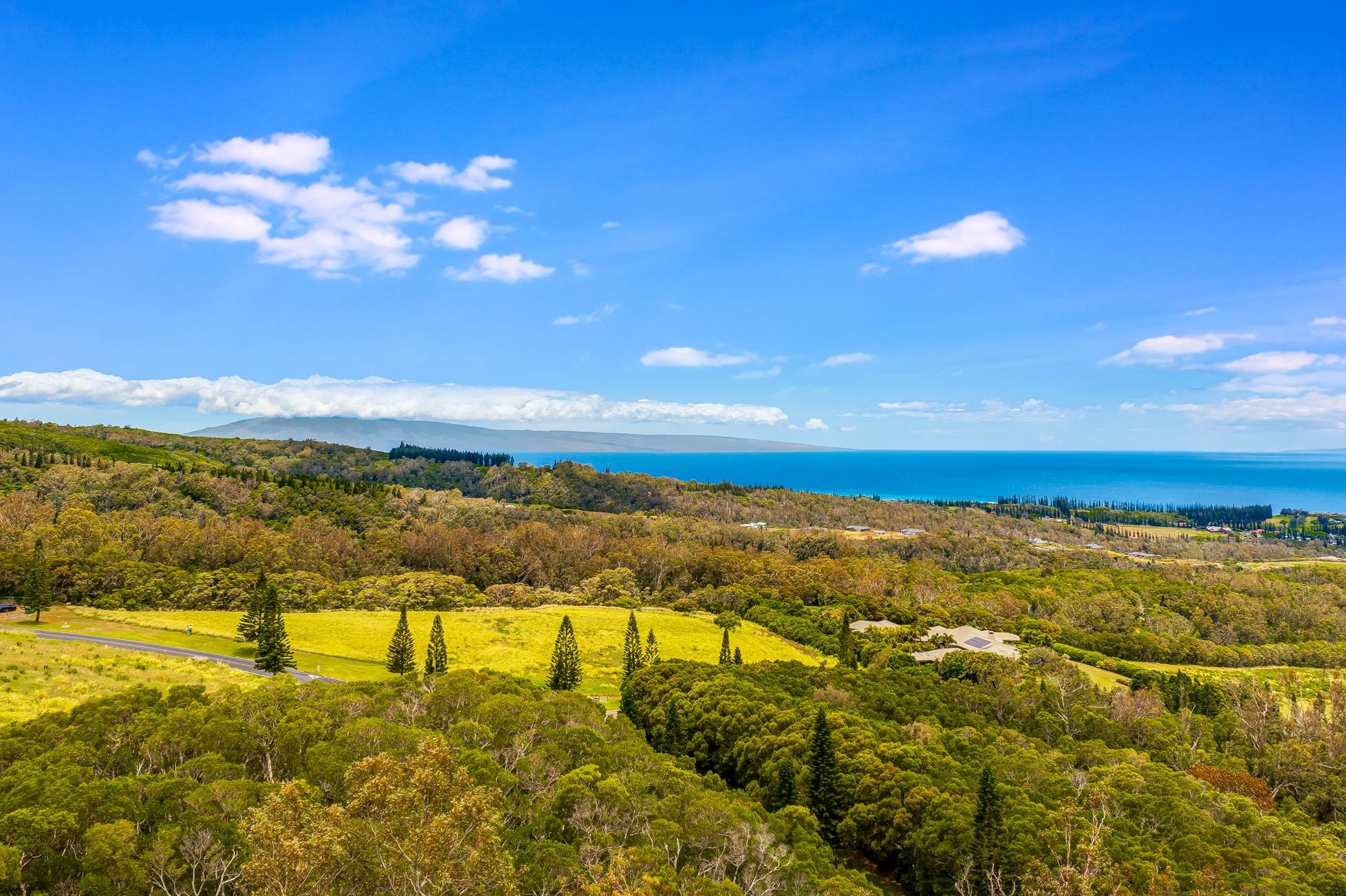 142 Keoawa Pl 25 Lahaina, Hi vacant land for sale - photo 9 of 24