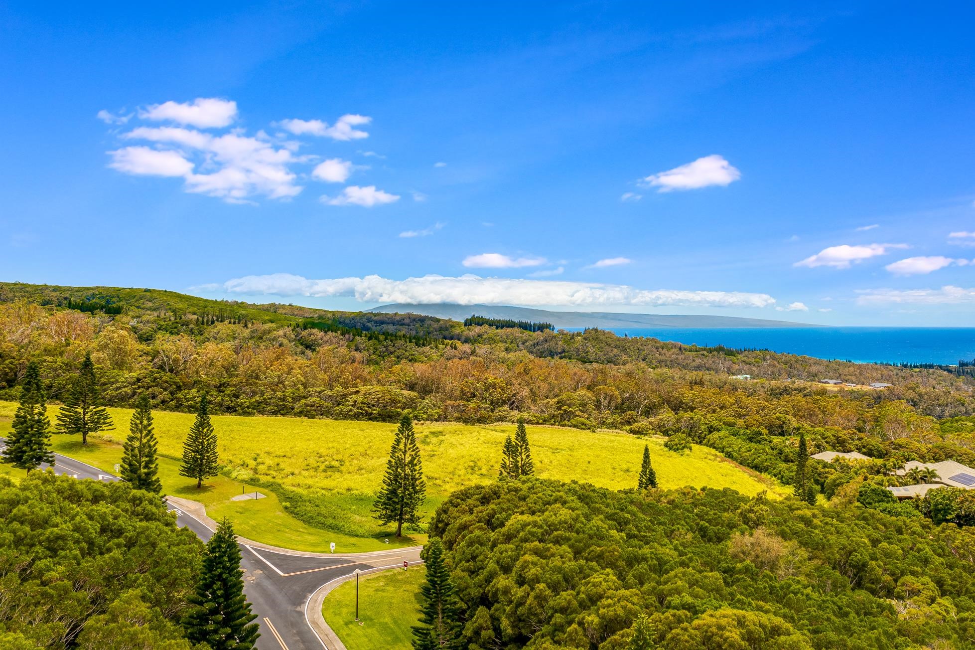 142 Keoawa Pl 25 Lahaina, Hi vacant land for sale - photo 10 of 24