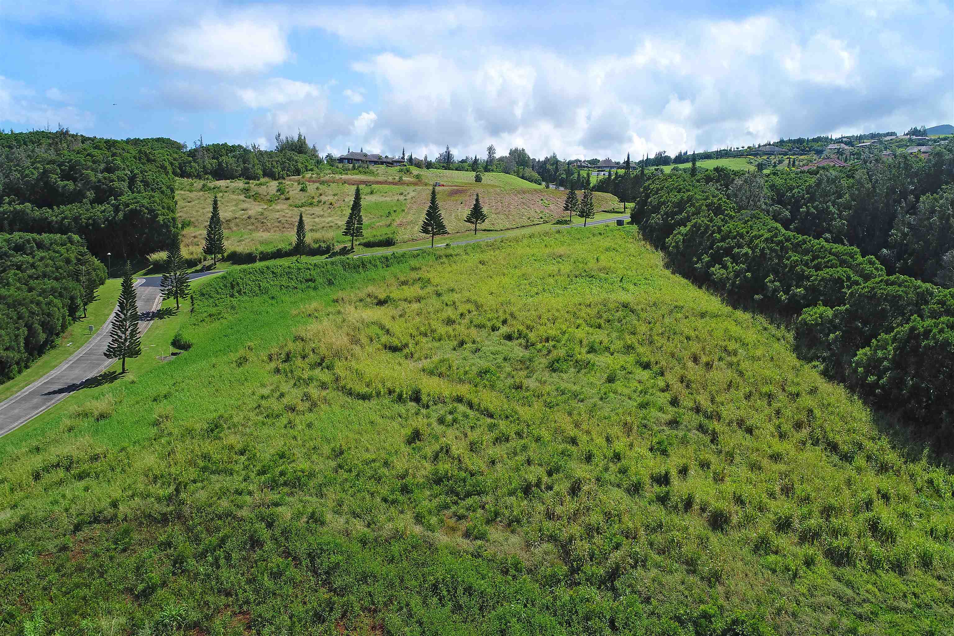 142 Keoawa St Lot 25 Lahaina, Hi vacant land for sale - photo 11 of 15