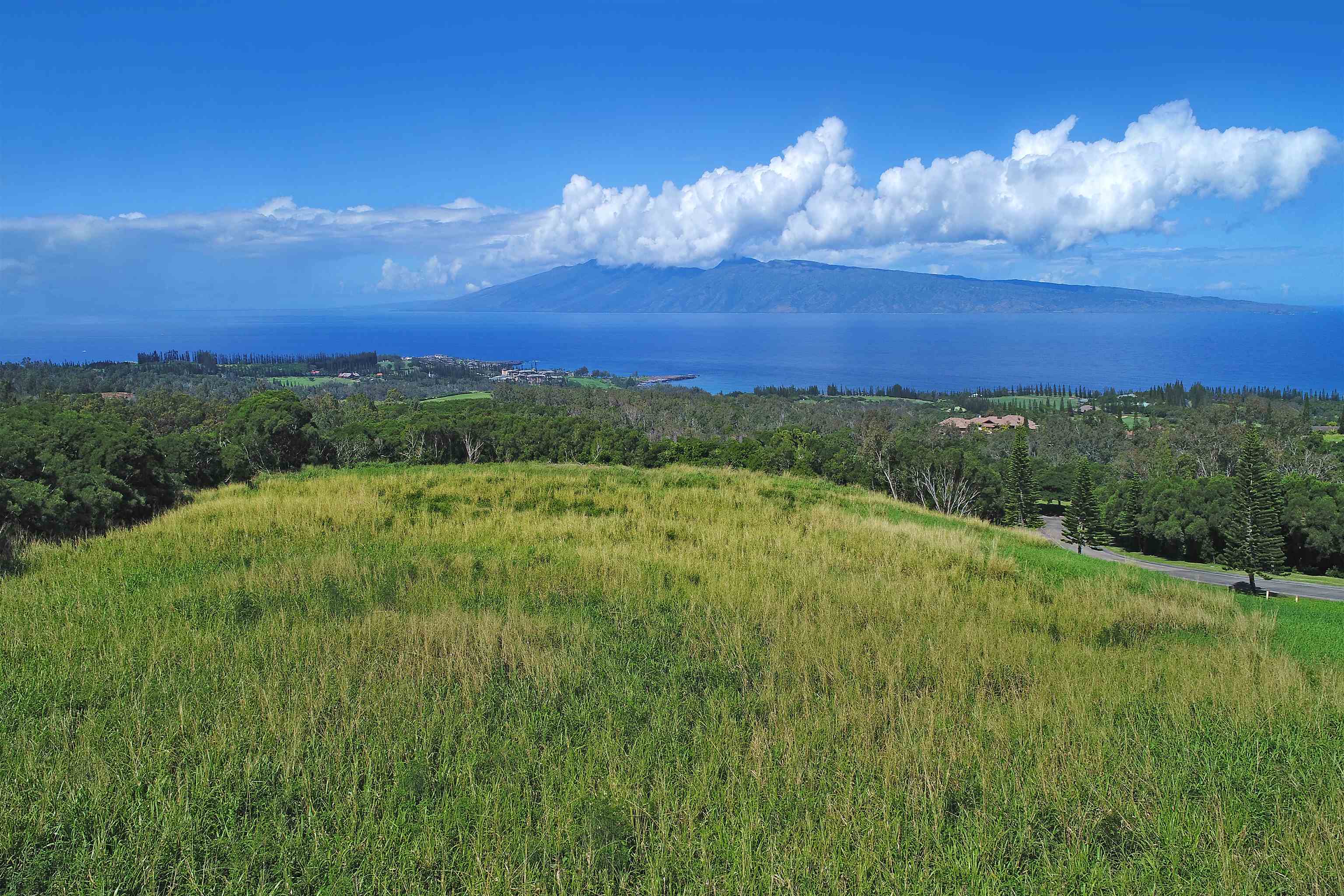 142 Keoawa St Lot 25 Lahaina, Hi vacant land for sale - photo 13 of 15