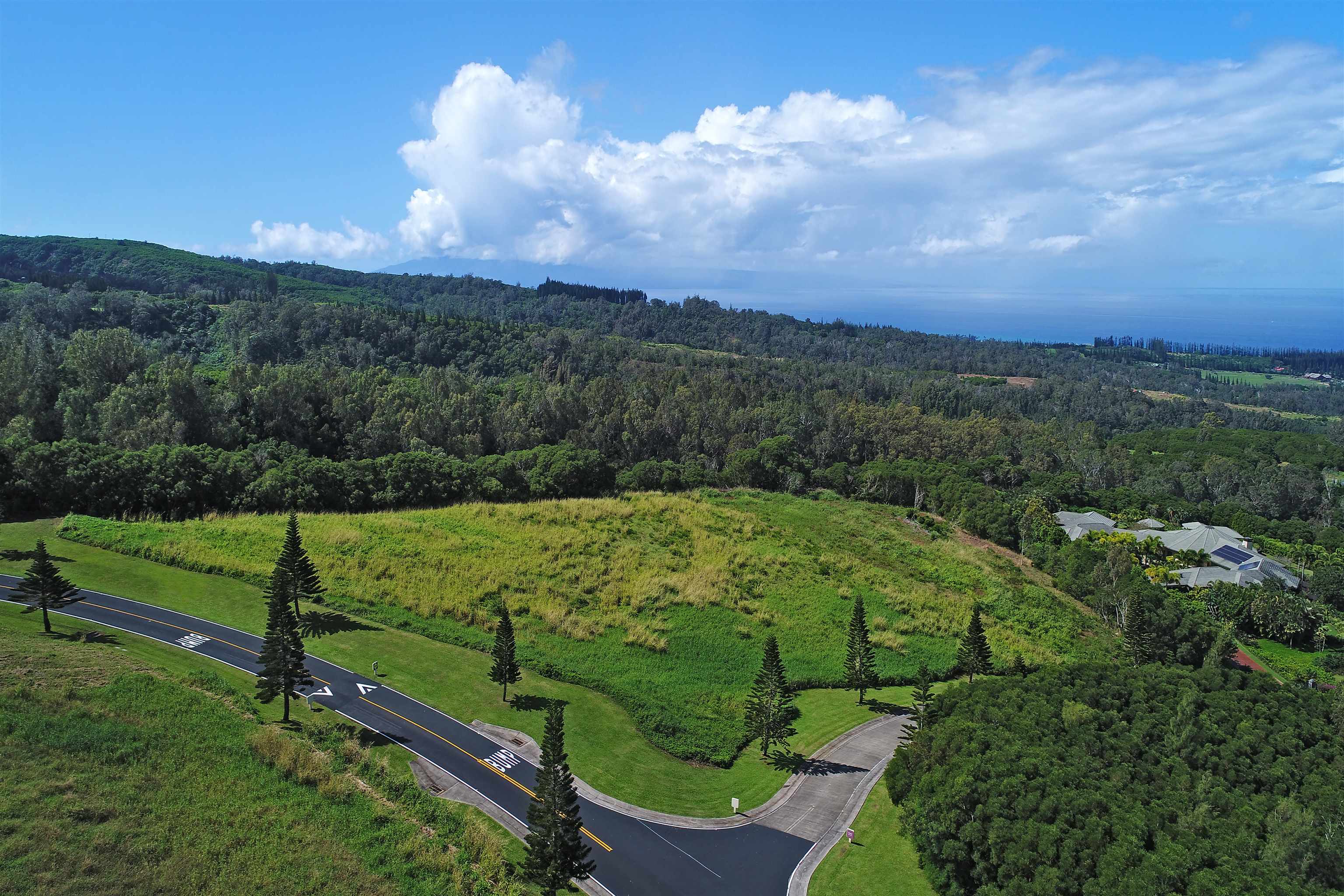 142 Keoawa St Lot 25 Lahaina, Hi vacant land for sale - photo 5 of 15