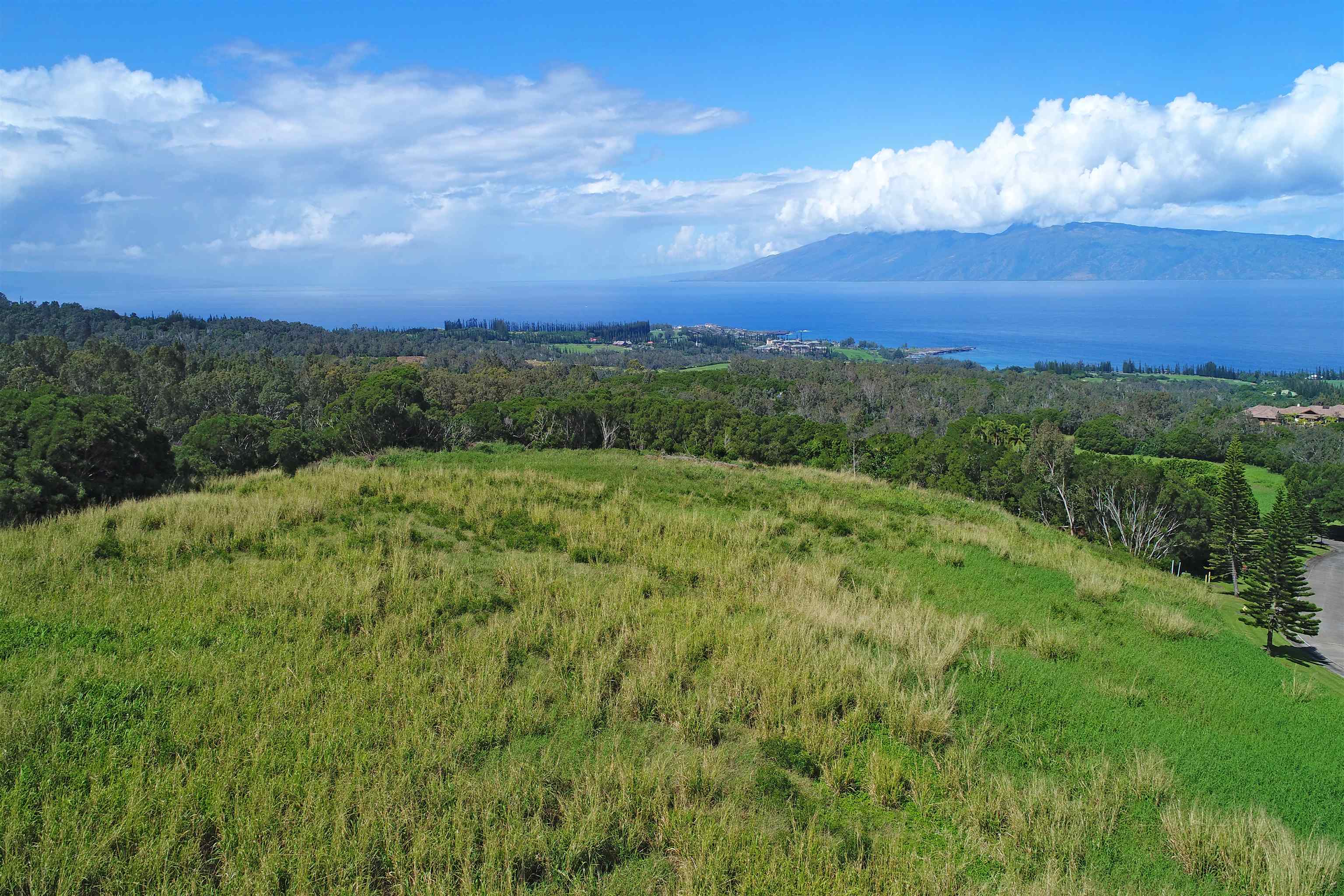 142 Keoawa St Lot 25 Lahaina, Hi vacant land for sale - photo 6 of 15