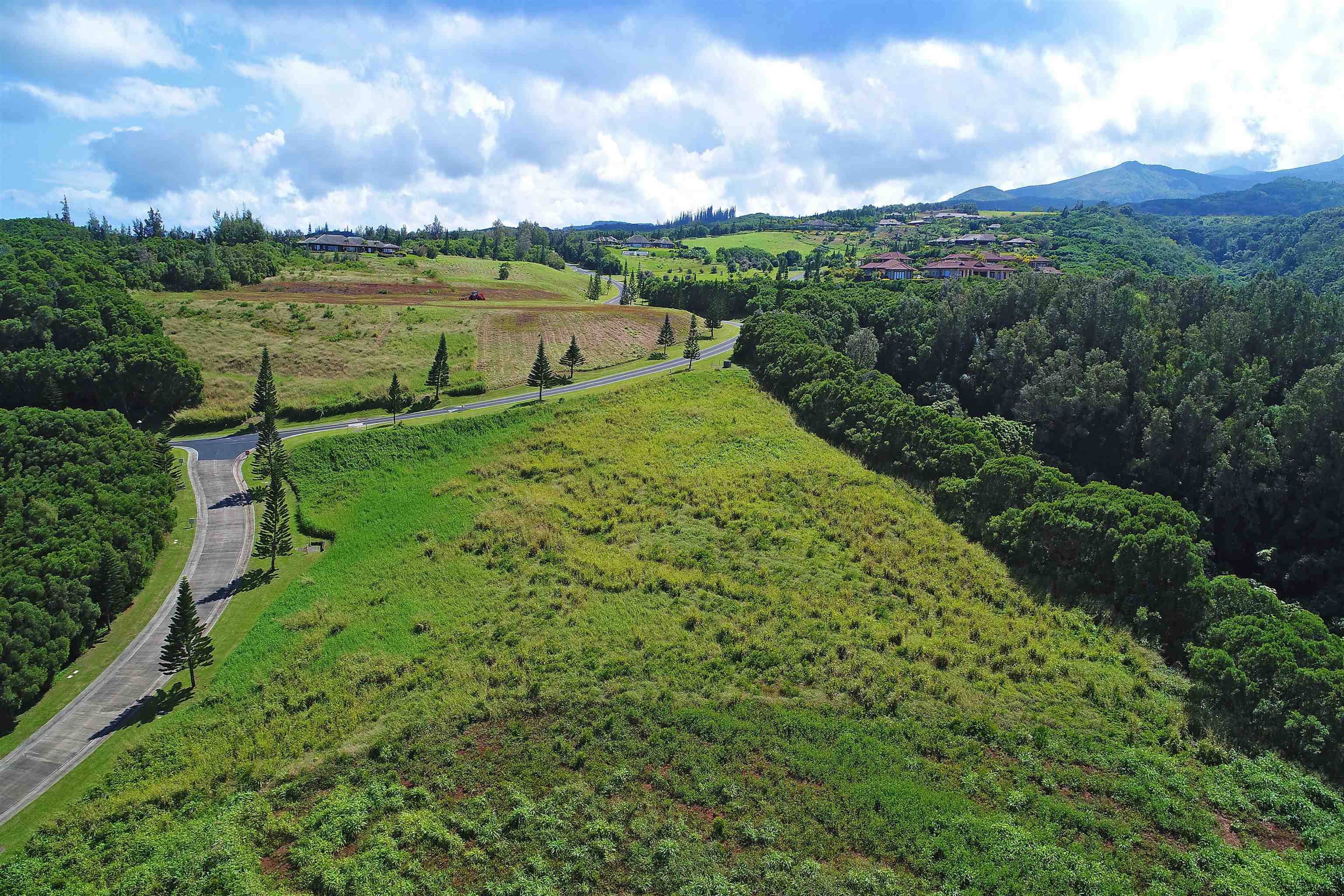 142 Keoawa St Lot 25 Lahaina, Hi vacant land for sale - photo 9 of 15