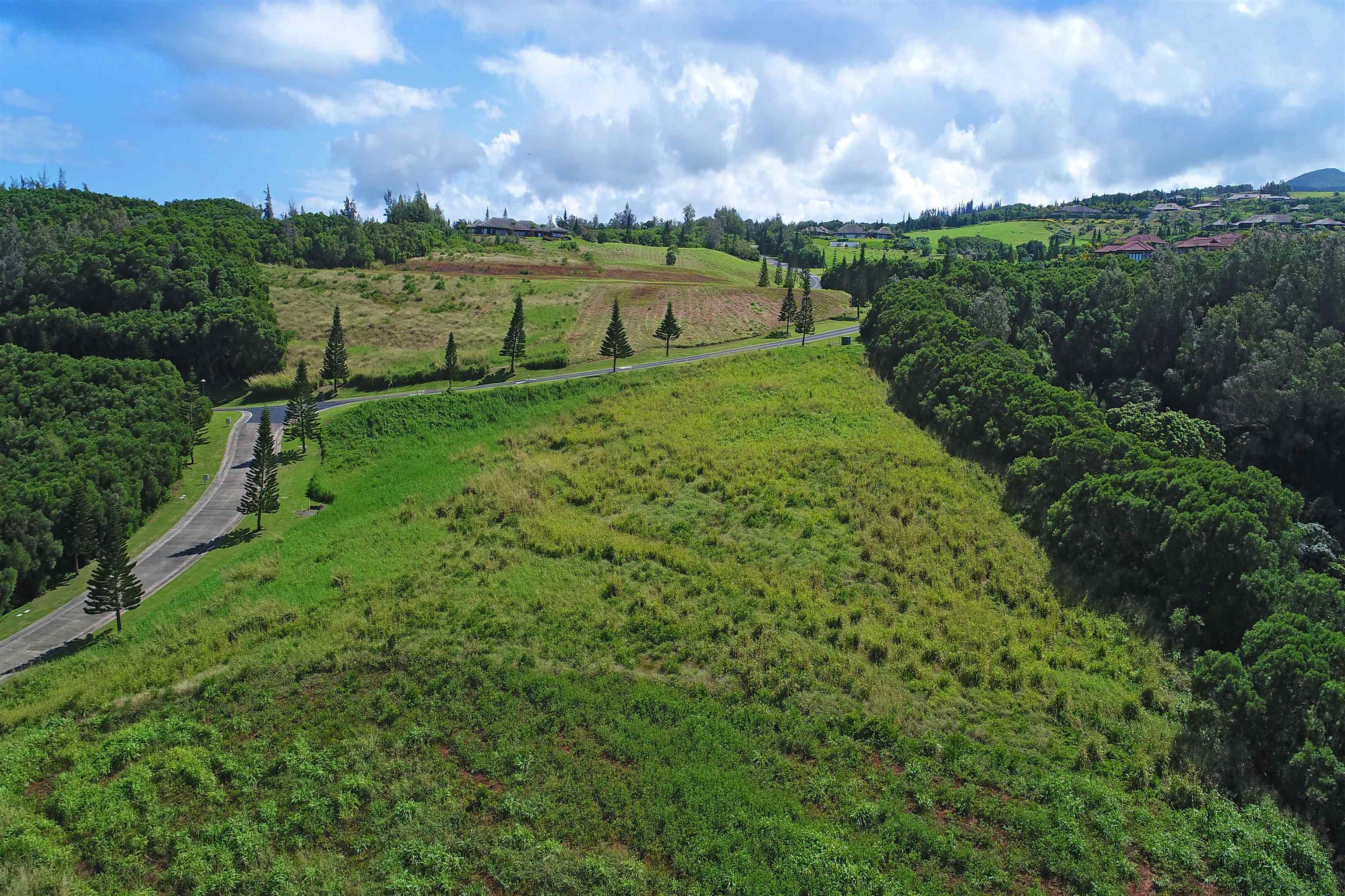142 Keoawa St Lot 25 Lahaina, Hi vacant land for sale - photo 10 of 15