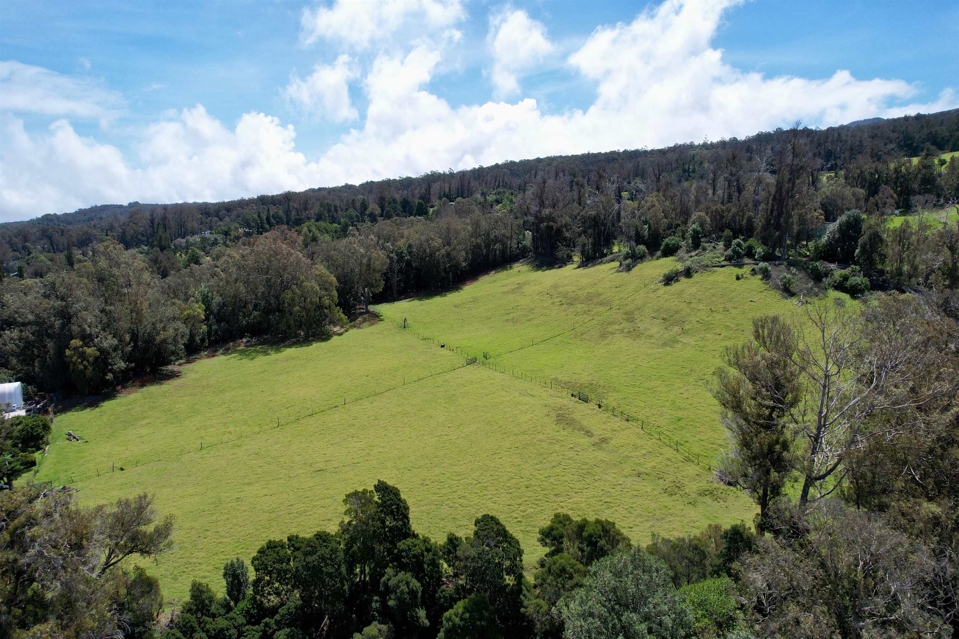 1423  Olinda Rd , Makawao/Olinda/Haliimaile home - photo 2 of 50