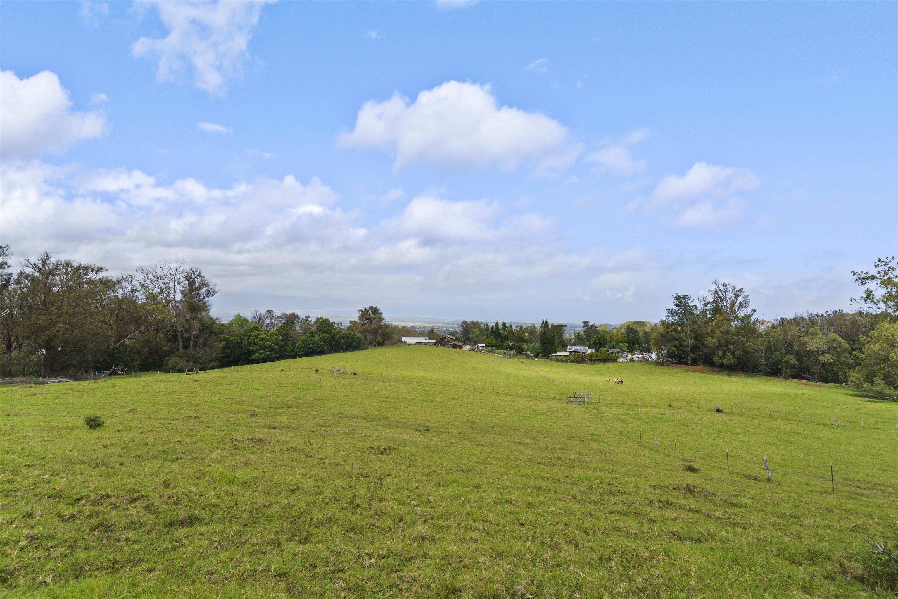 1423  Olinda Rd , Makawao/Olinda/Haliimaile home - photo 4 of 50