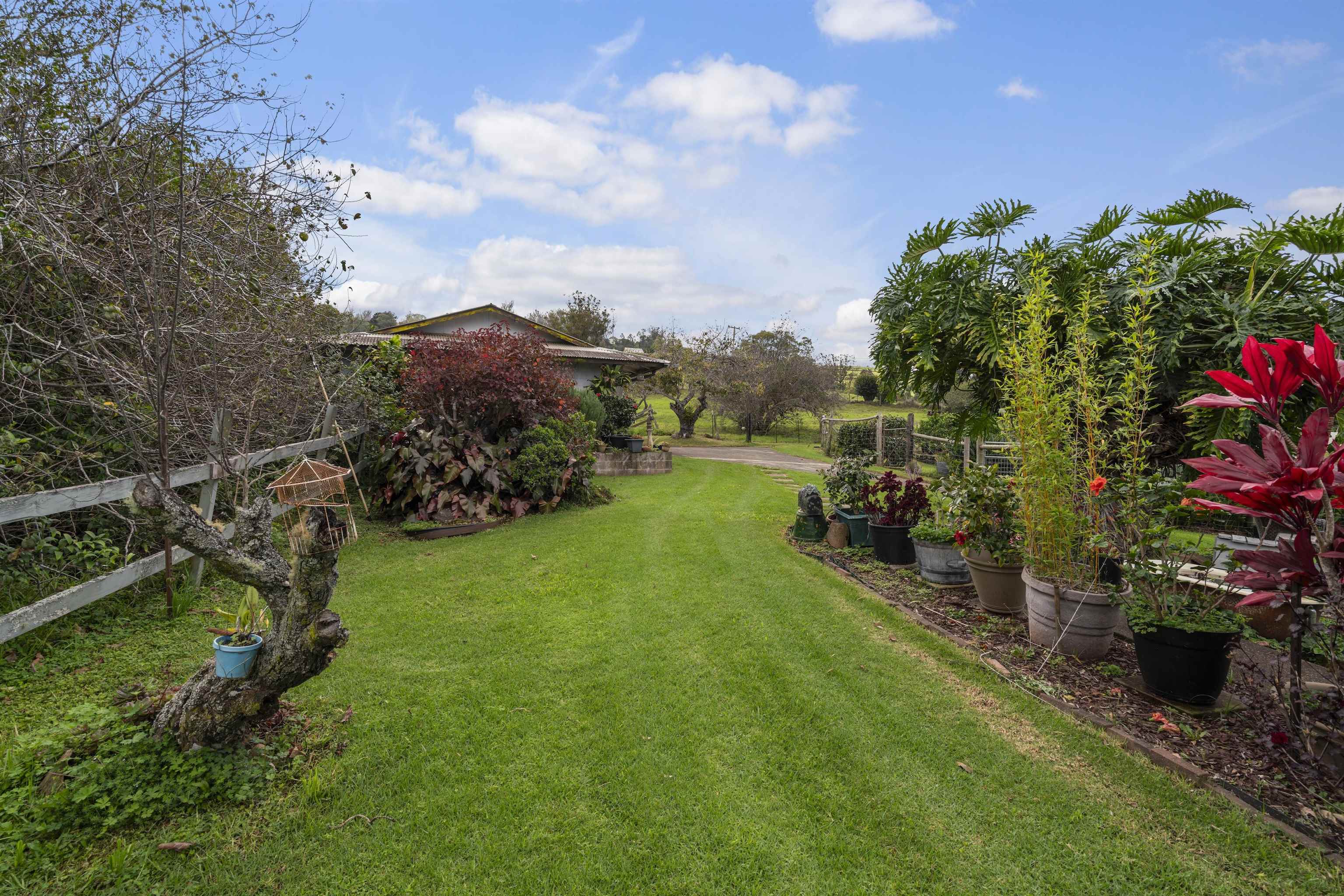 1423  Olinda Rd , Makawao/Olinda/Haliimaile home - photo 33 of 50