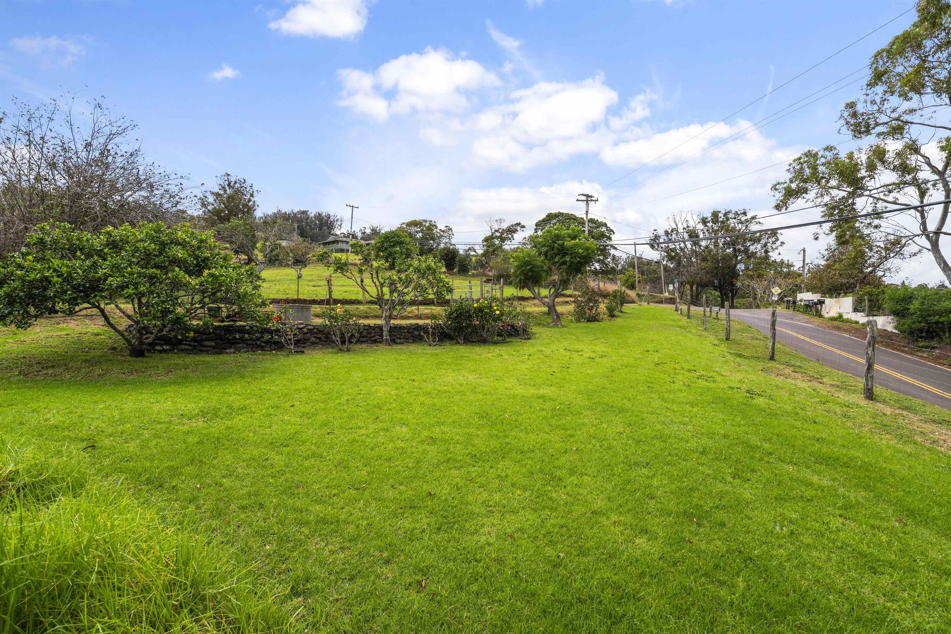 1423  Olinda Rd , Makawao/Olinda/Haliimaile home - photo 38 of 50