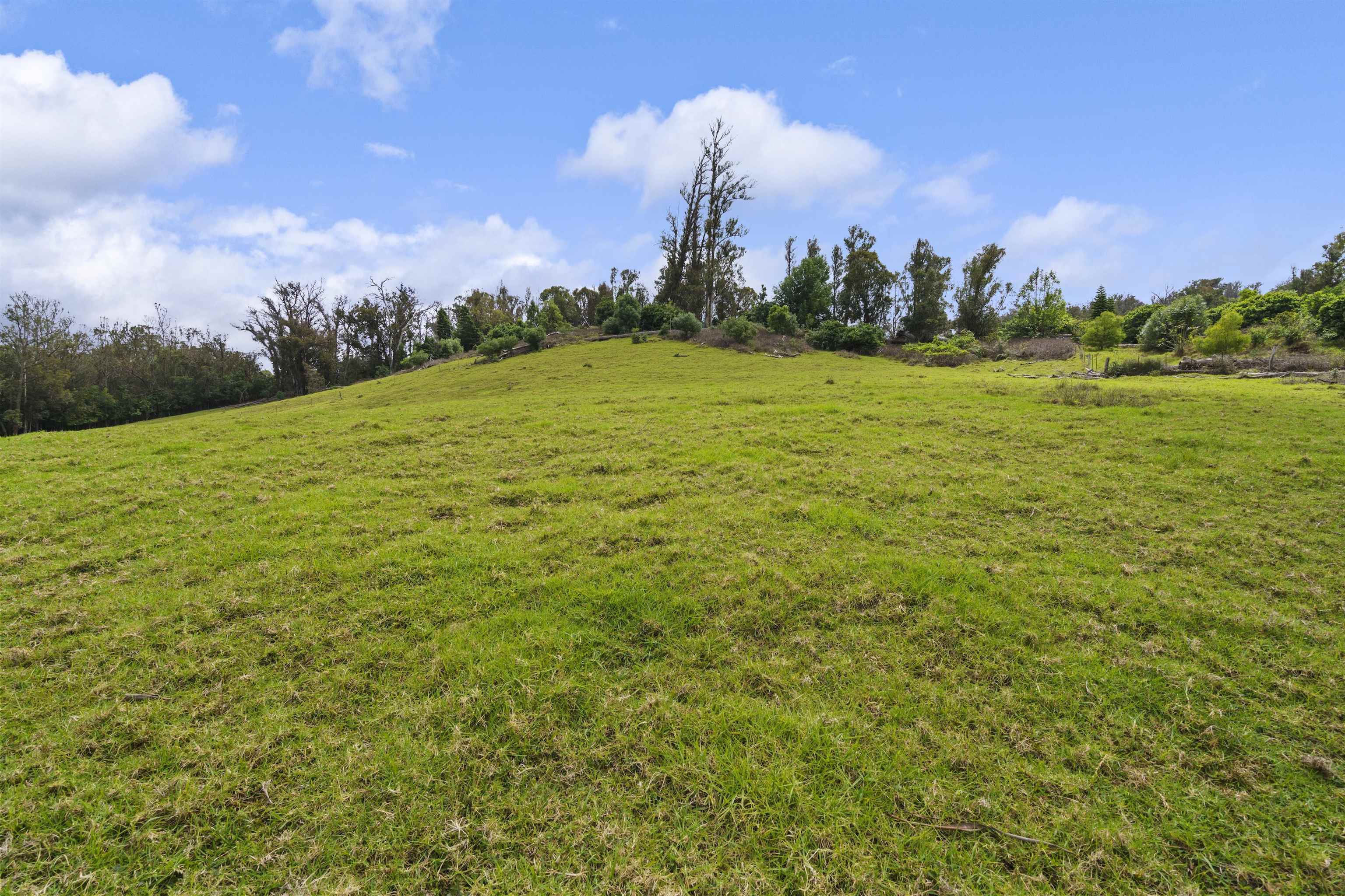 1423  Olinda Rd , Makawao/Olinda/Haliimaile home - photo 41 of 50