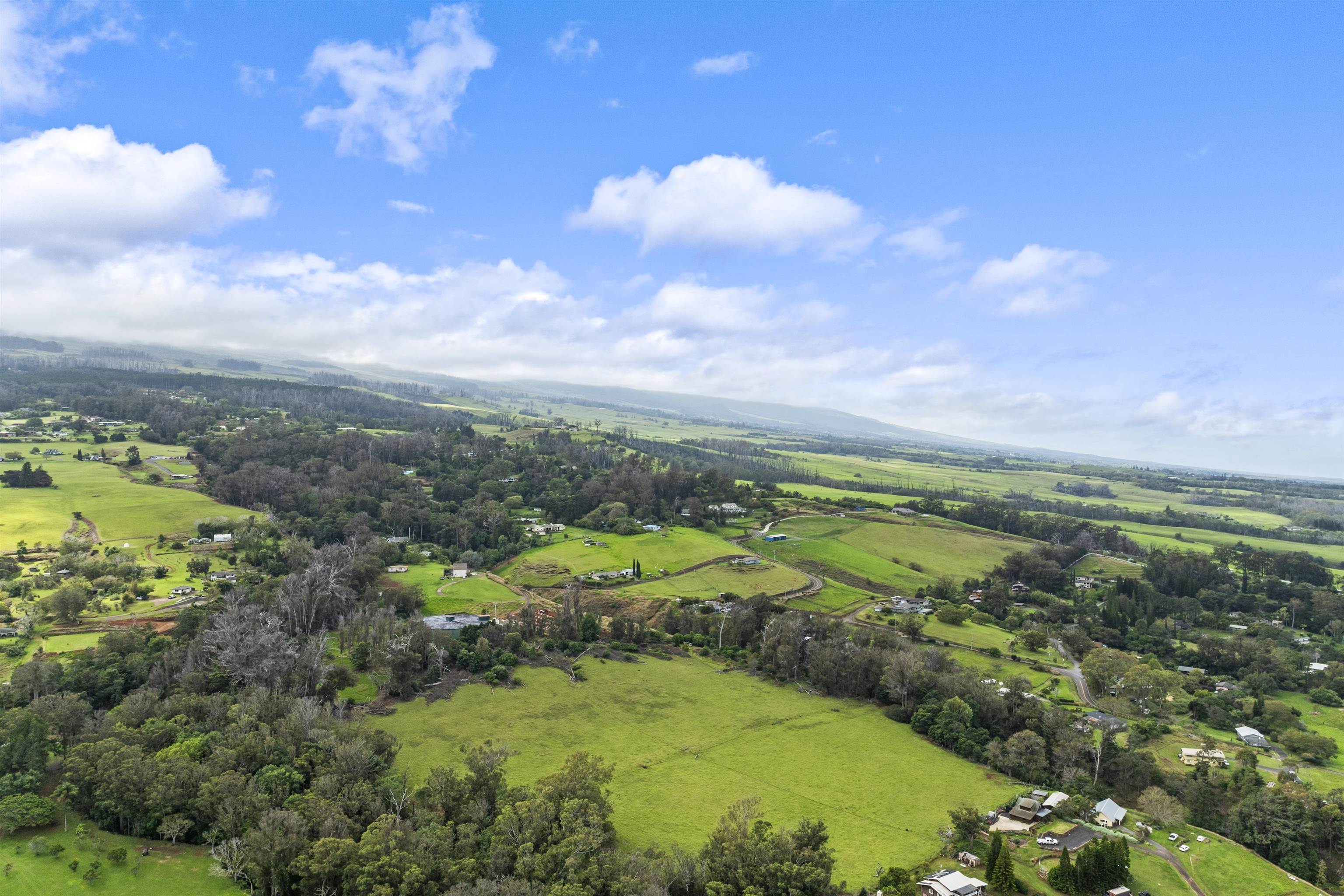 1423  Olinda Rd , Makawao/Olinda/Haliimaile home - photo 43 of 50