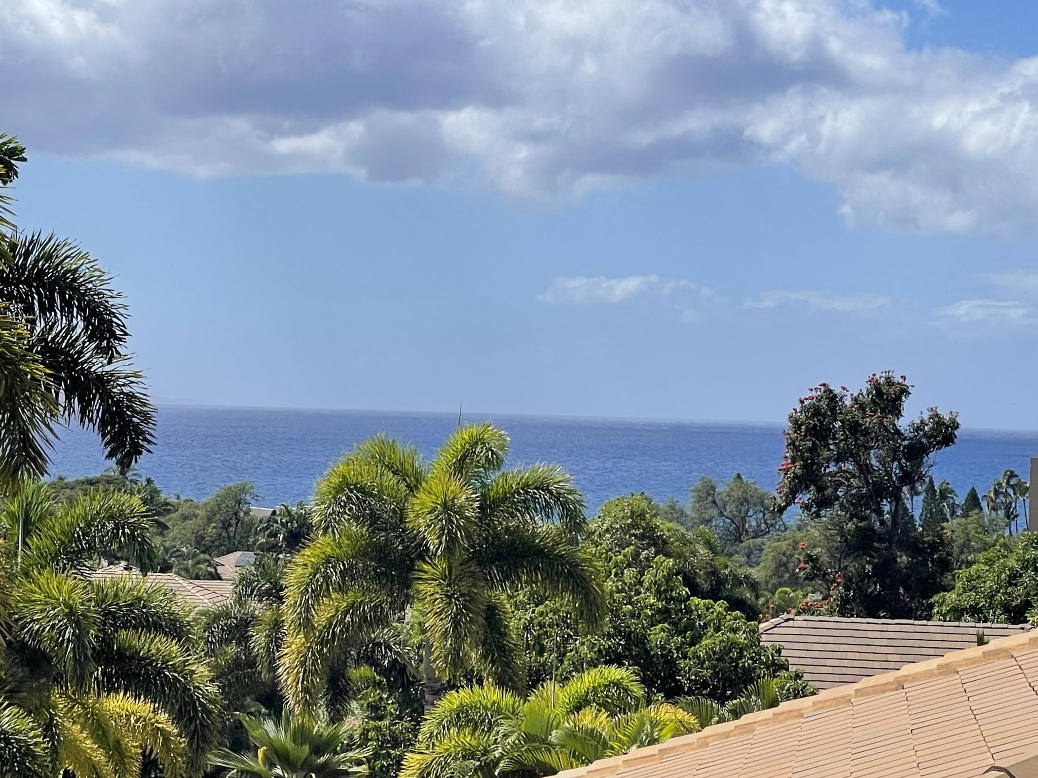 143  Ahekolo St South Kihei, Kihei home - photo 3 of 30