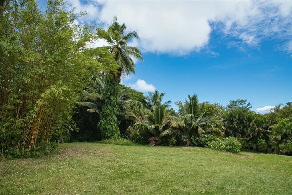 143  Alalele Pl Hana Agricultural Park, Hana home - photo 49 of 50
