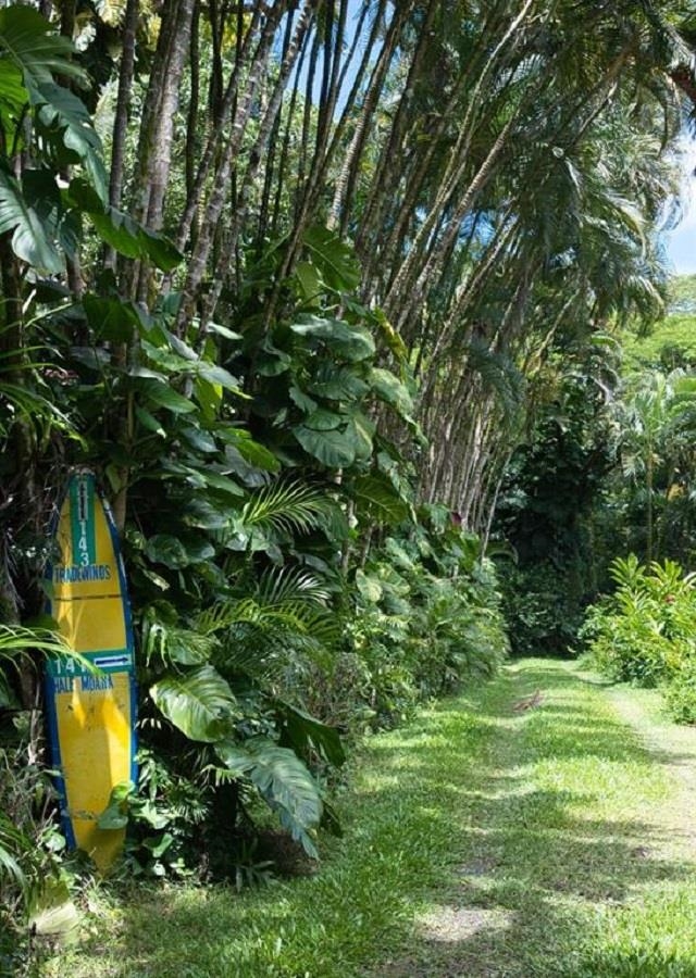 143  Alalele Pl Hana Agricultural Park, Hana home - photo 50 of 50