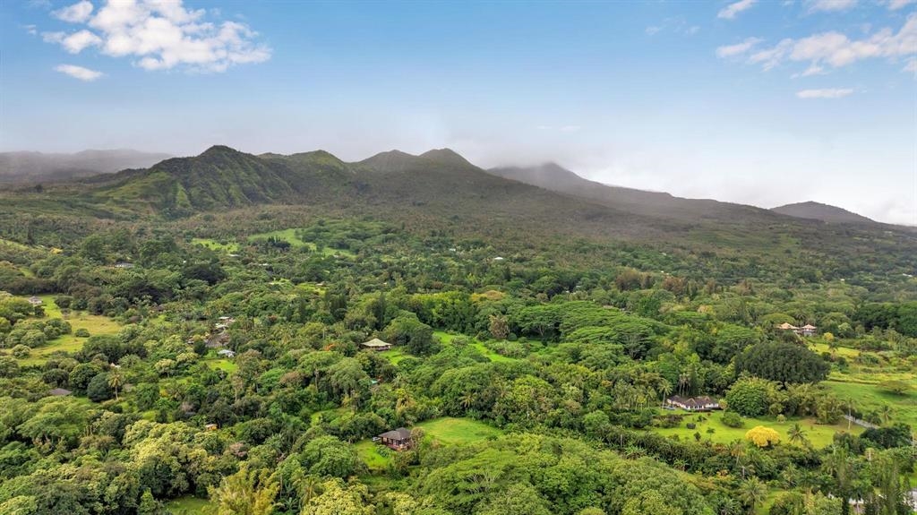 143  Alalele Pl Hana Agricultural Park, Hana home - photo 48 of 50